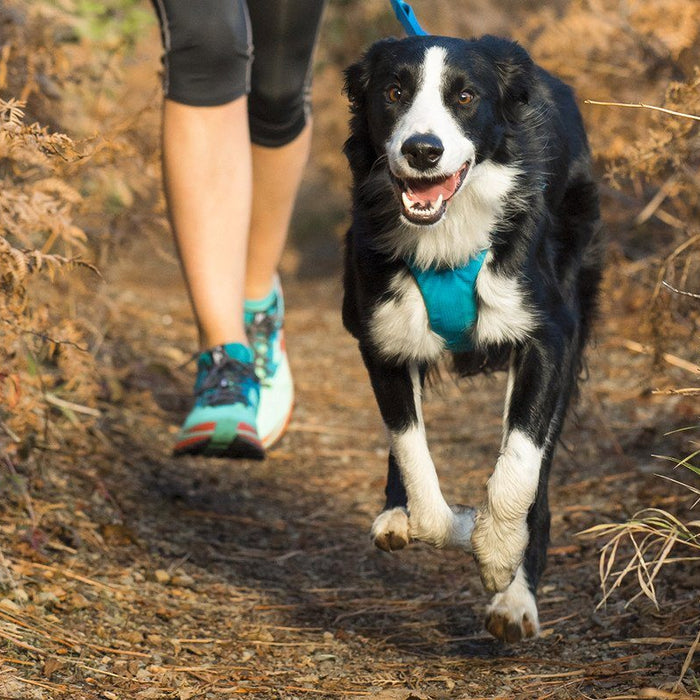 Para que tu perro no estire de la correa al pasear: Pechera para Perros Front Range® de Ruffwear®