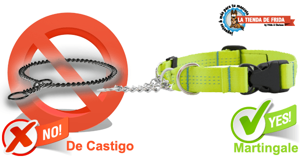 collar de castigo