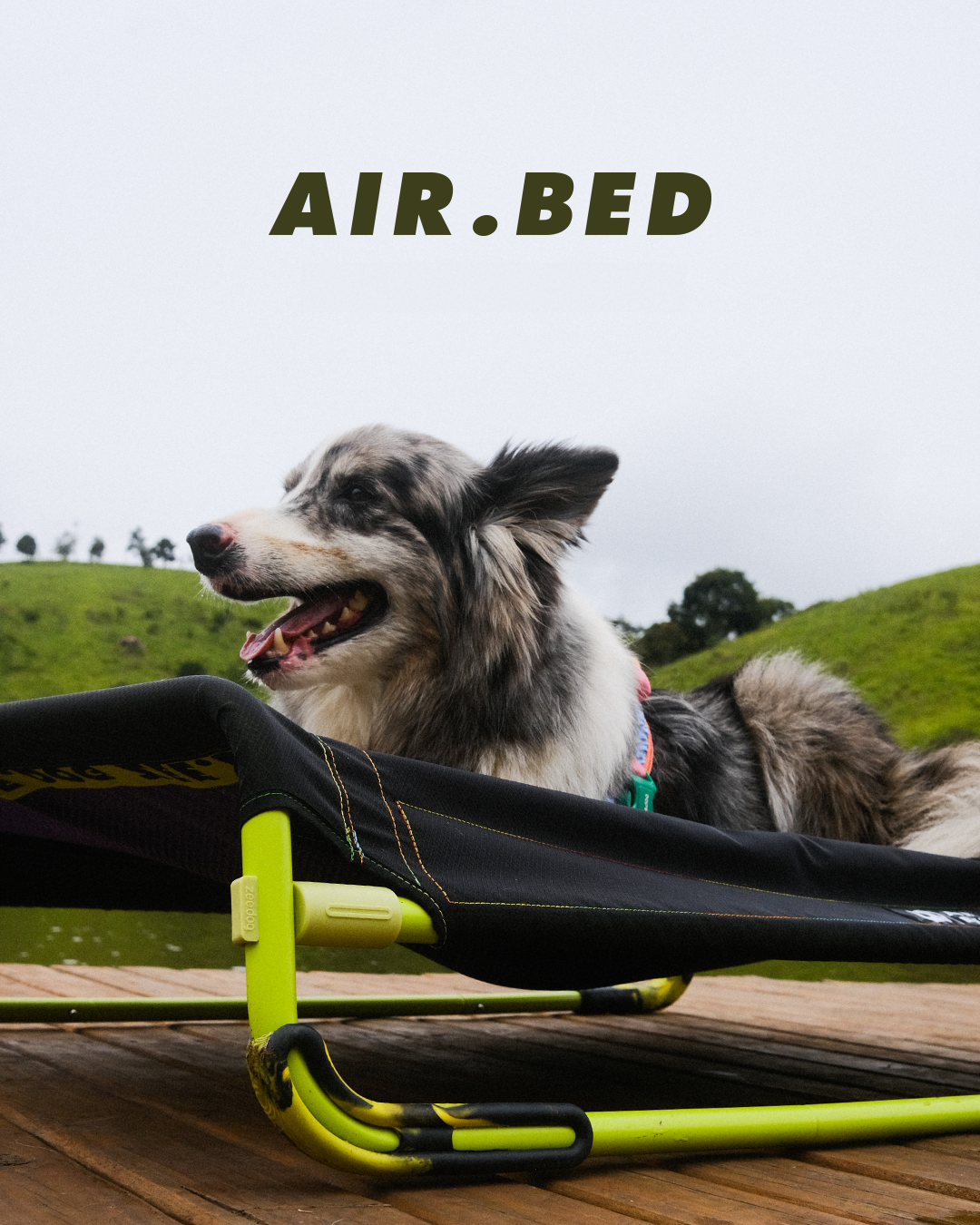 Air.Bed de Zee.Dog - Cama Elevada para Perros