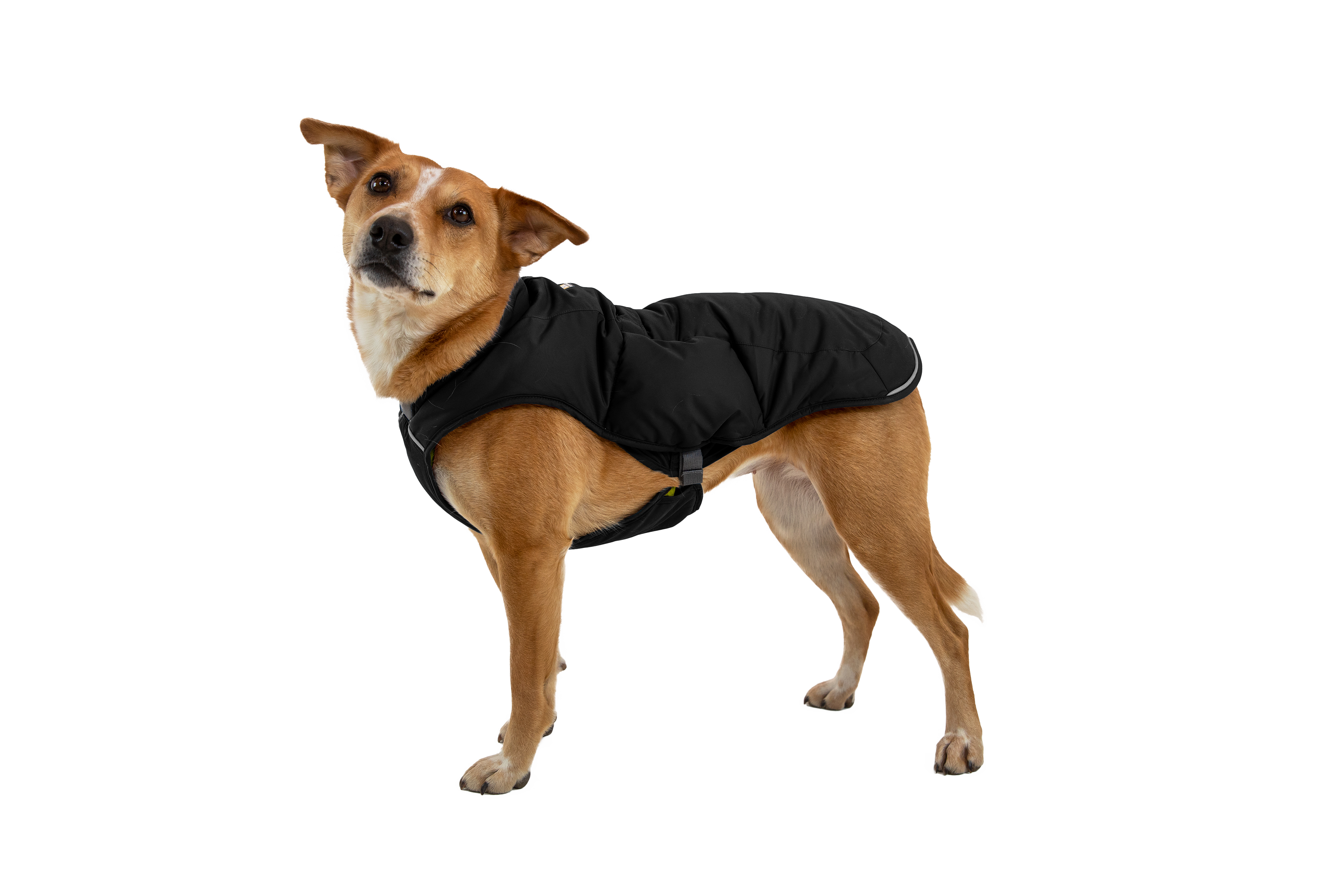 Chamarra para Perros Quinzee™ - Acolchada y Plegable - Negra (Obsidian Black) | Ruffwear®