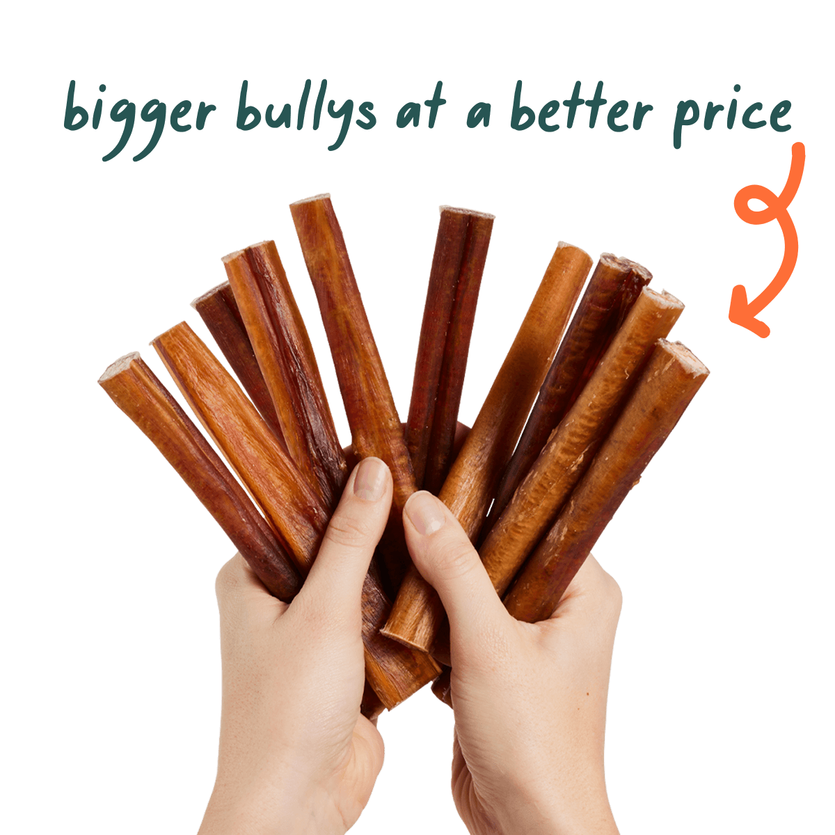 Bully Sticks para Perros | Premios Naturales de Larga Duración y Salud Dental de Woof