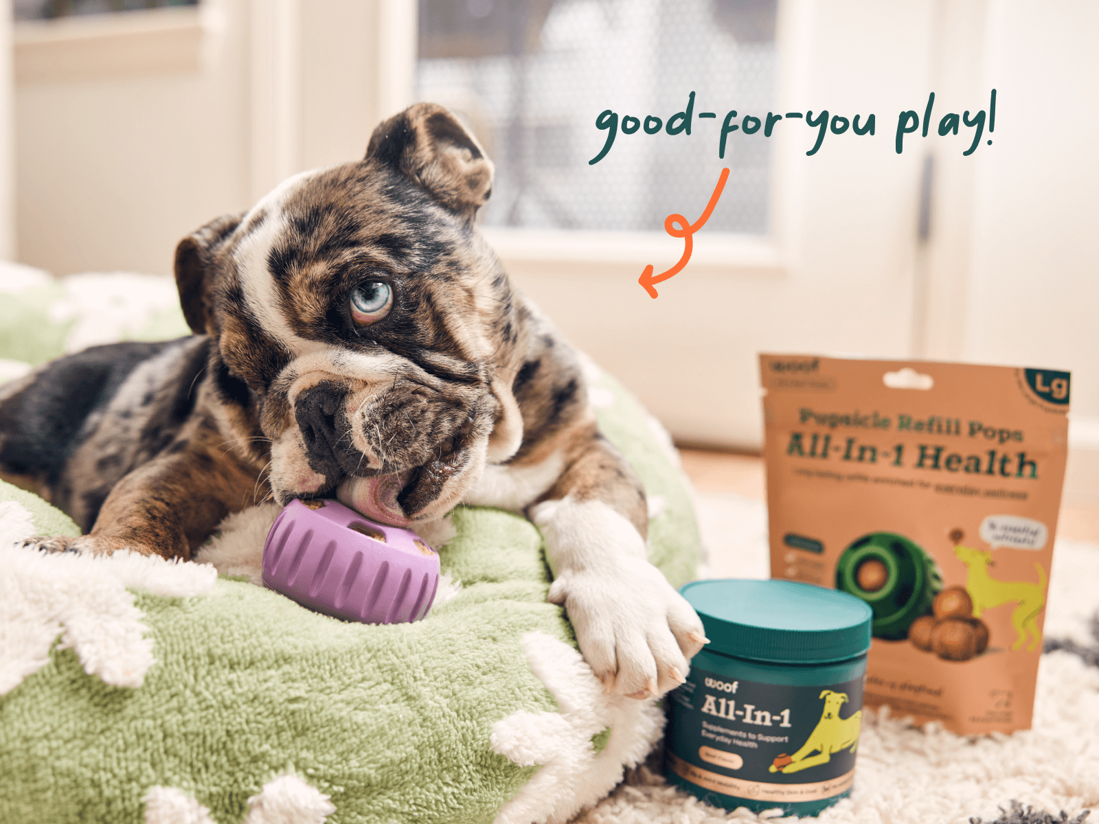 All-in-1 Wellness Pops para Perros | Suplemento Completo y Saludable My Woof