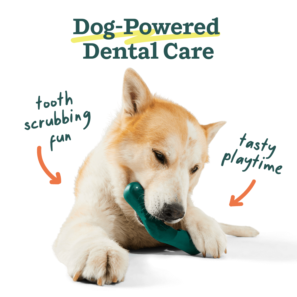 Juguete Bite n' Brush para Perros | Salud Dental y Diversión con Cada Mordida de Woof