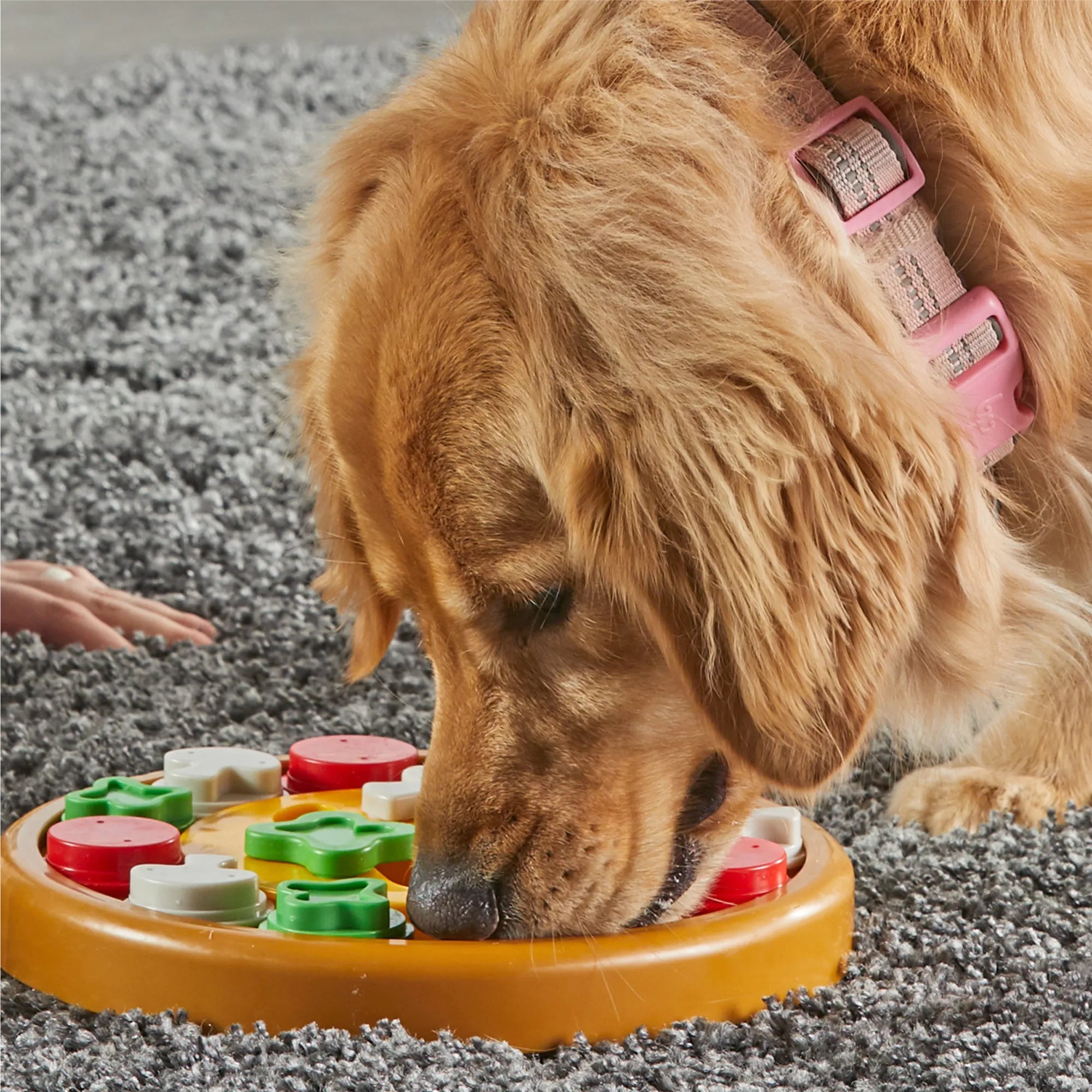 Pizza Party! Treat Puzzle - Juguete Interactivo para Perros | Brightkins®