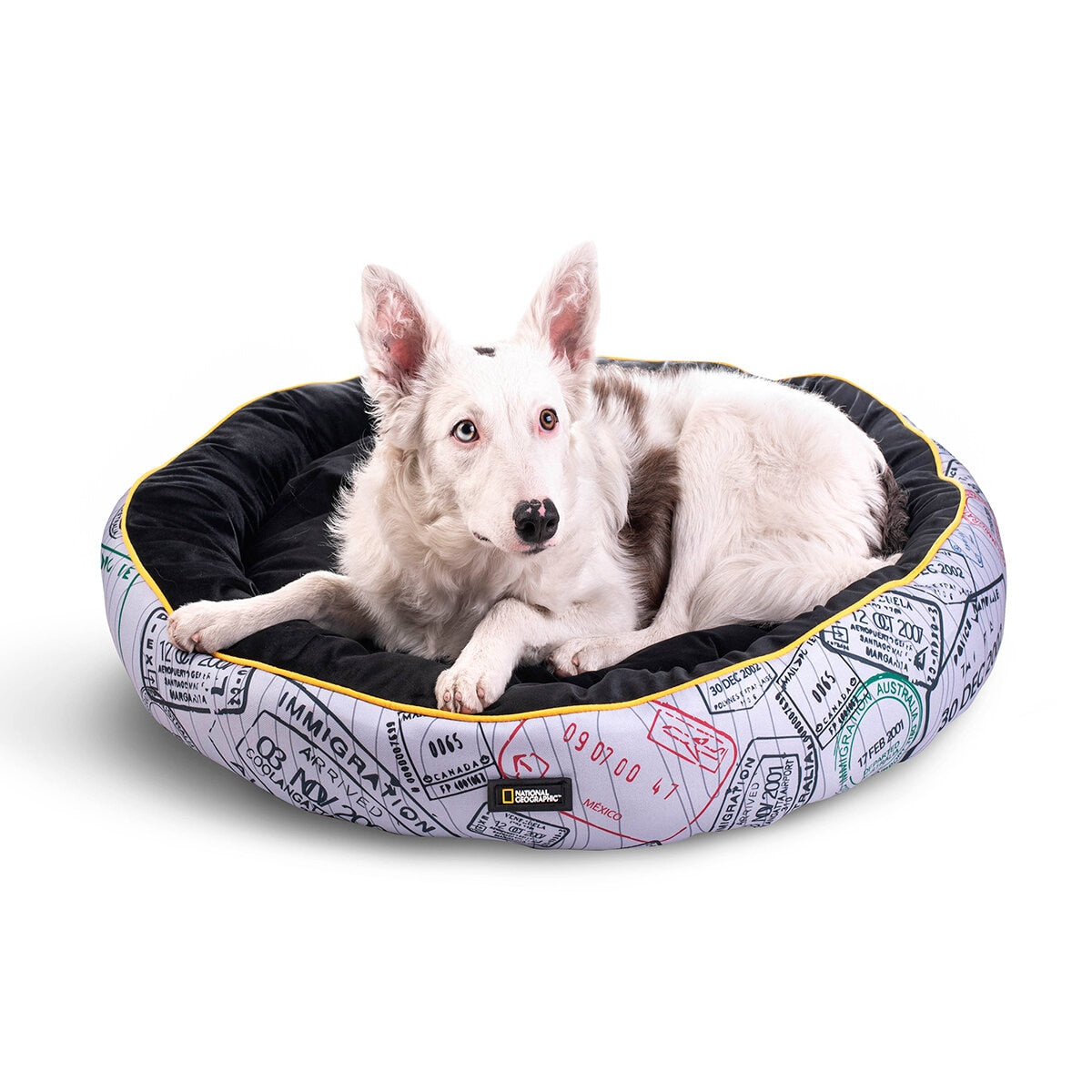 Cama para Perros de National Geographic Estilo Apolo Passport