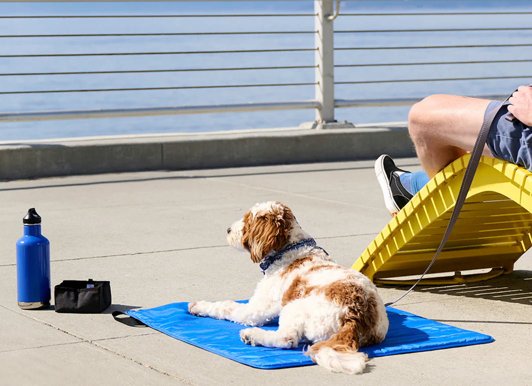 Cama Enfriadora y Portátil Cool Comfort para Perros de RC Pets