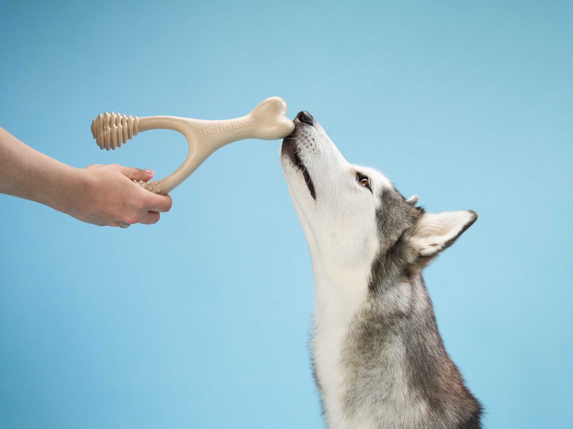 BetterBone TOUGH: Hueso Masticable HIPOALERGENICO para Perros Destructores