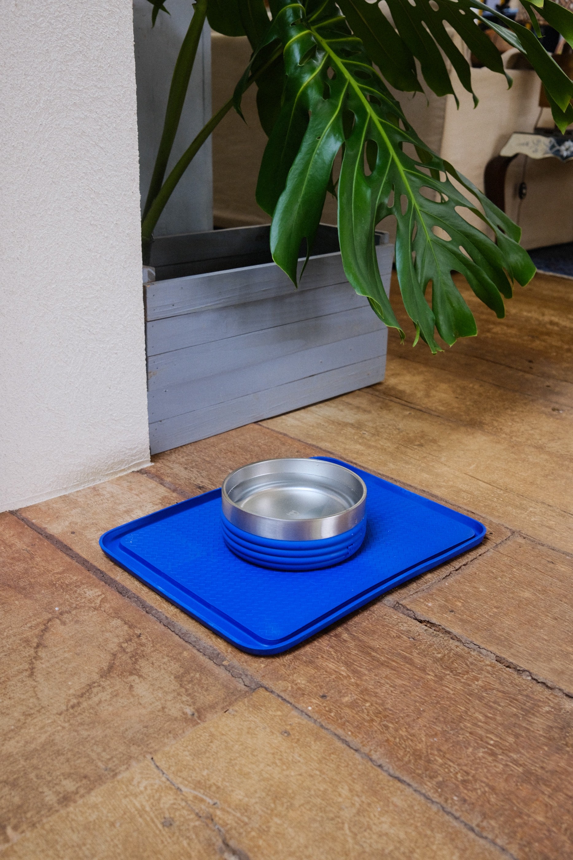 Plato Tuff Bowl Rings Azul de Zee.Dog