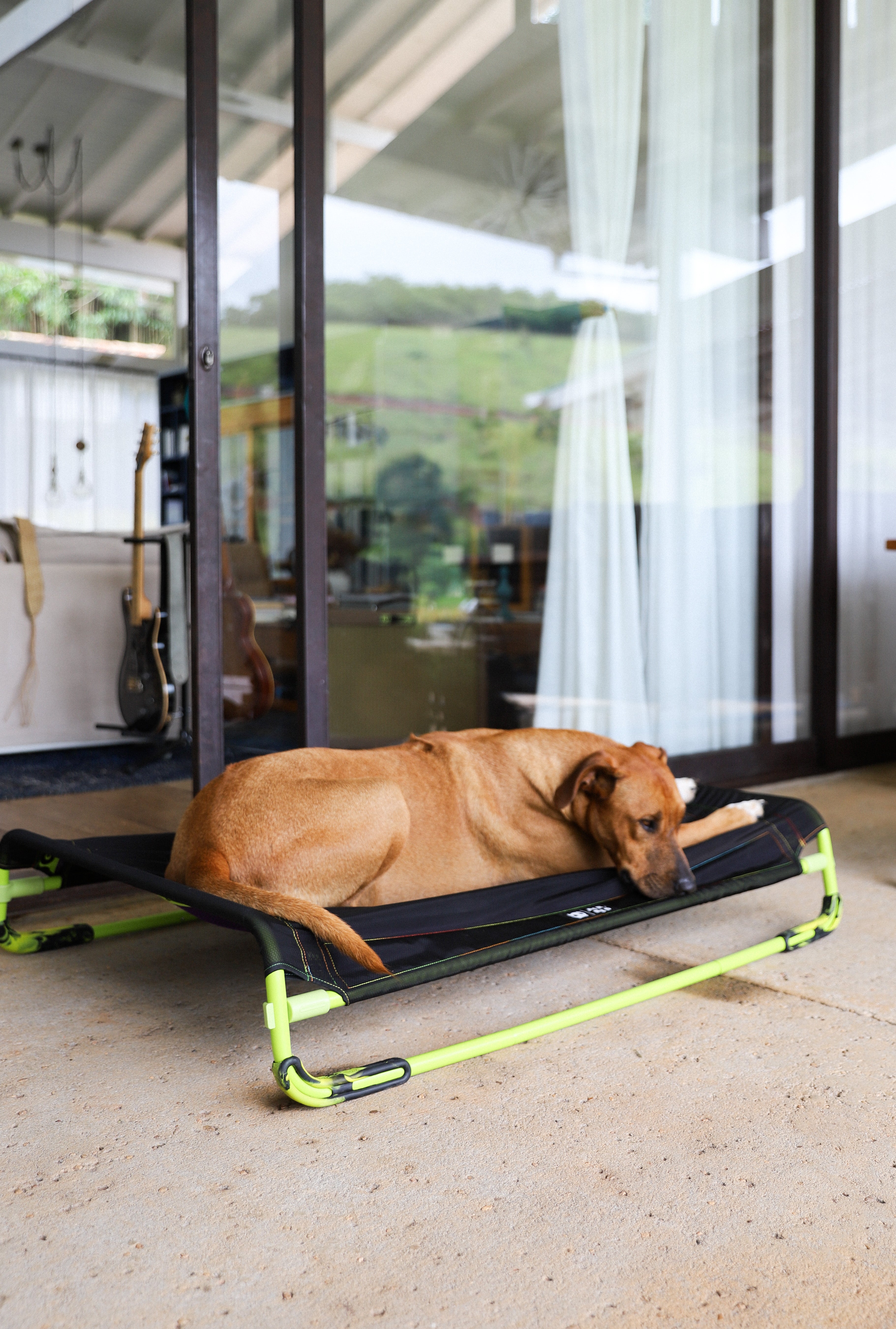 Air.Bed de Zee.Dog - Cama Elevada para Perros