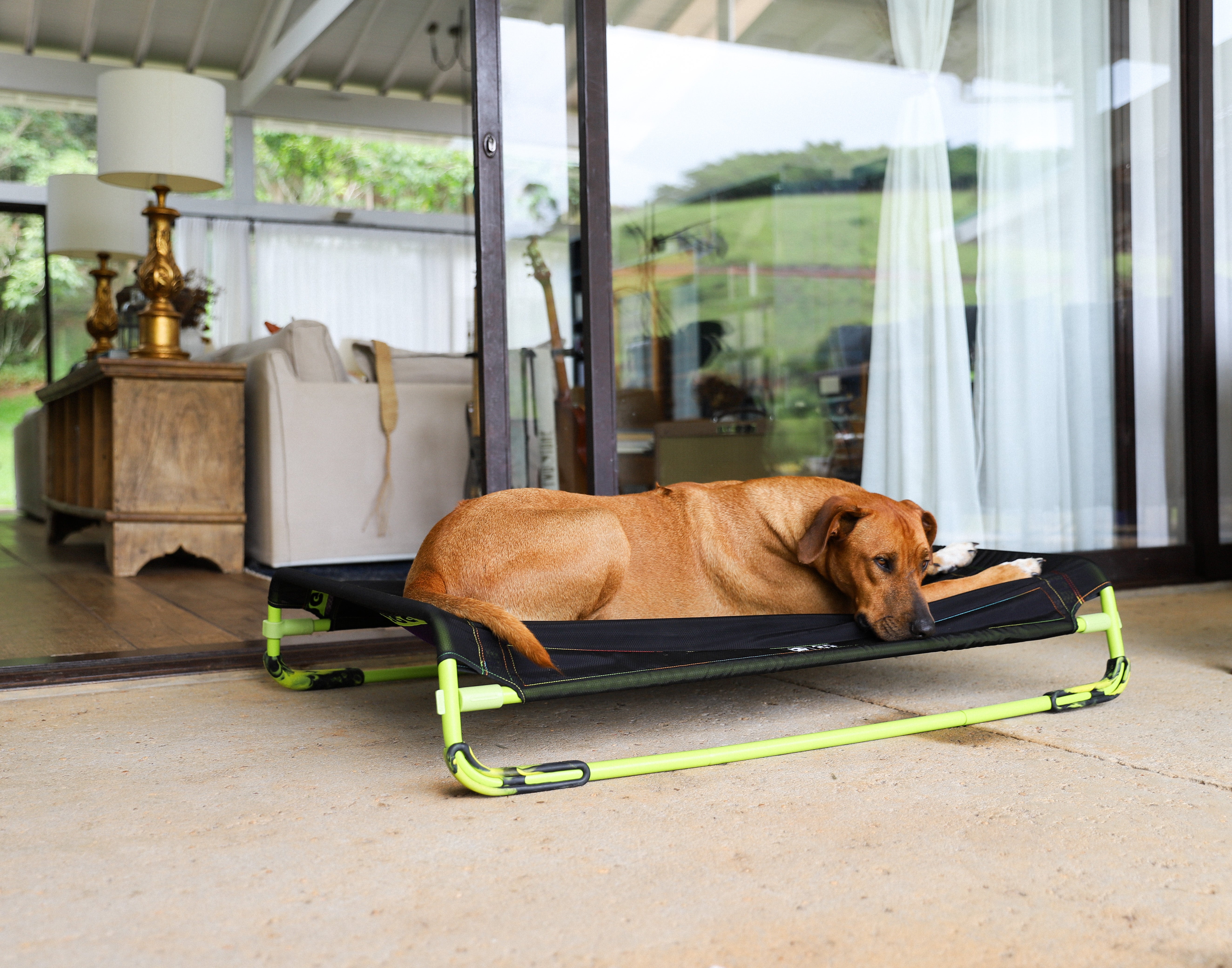 Air.Bed de Zee.Dog - Cama Elevada para Perros