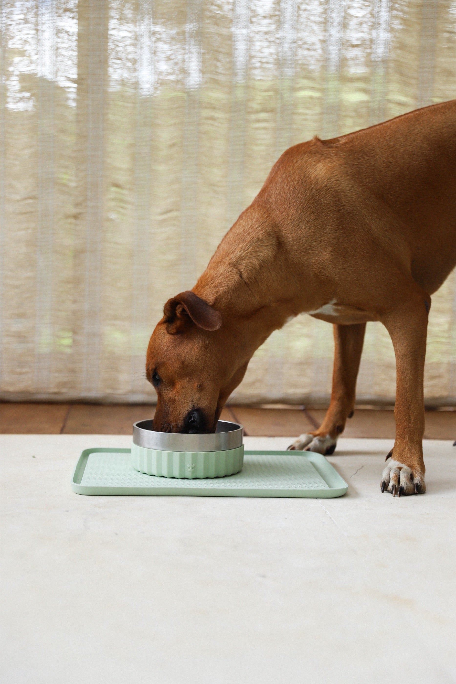 Zee.Mat Sage - Tapete para Platos con Barrera contra Hormigas de Zee.Dog