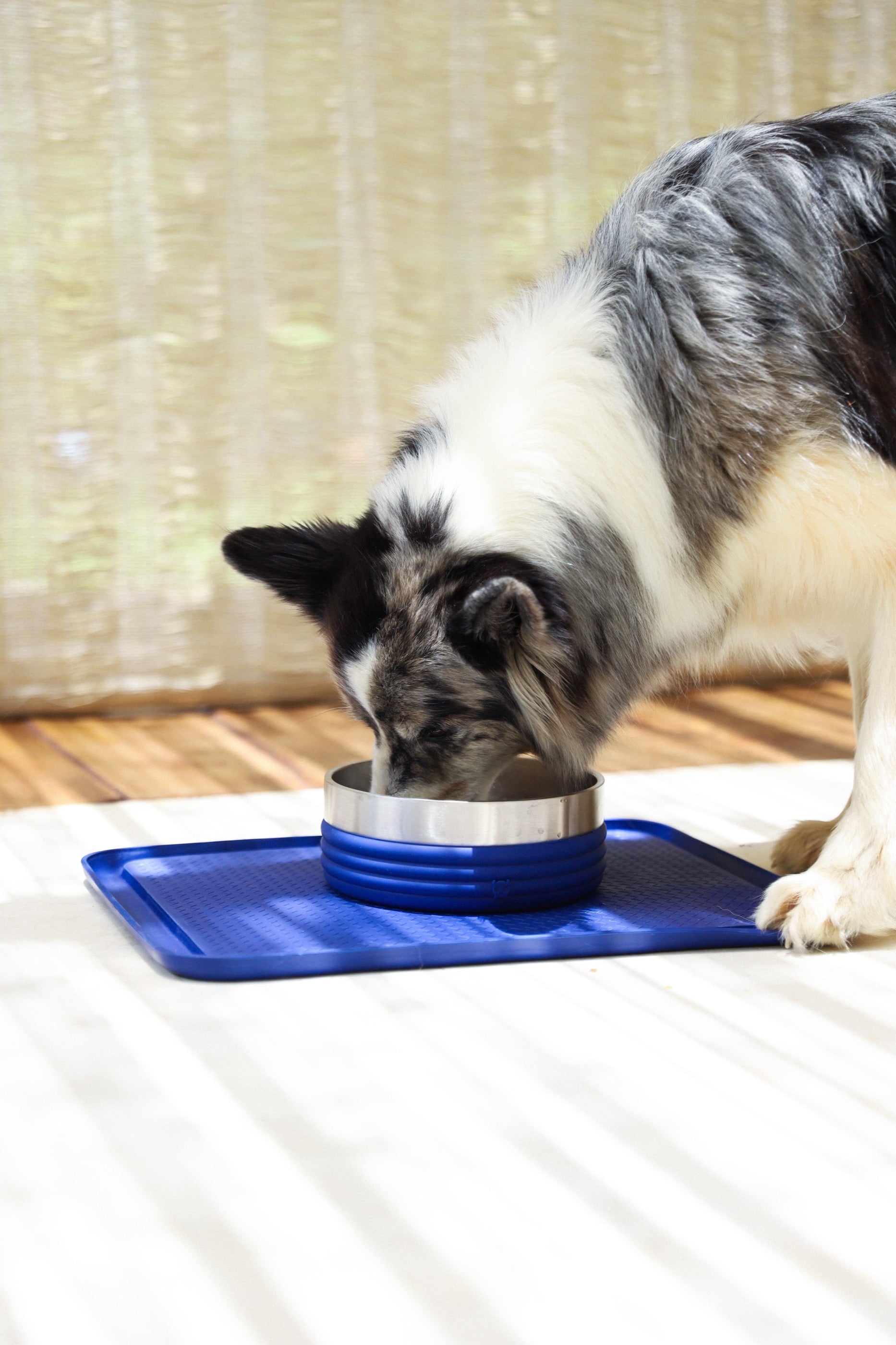 Plato Tuff Bowl Rings Azul de Zee.Dog