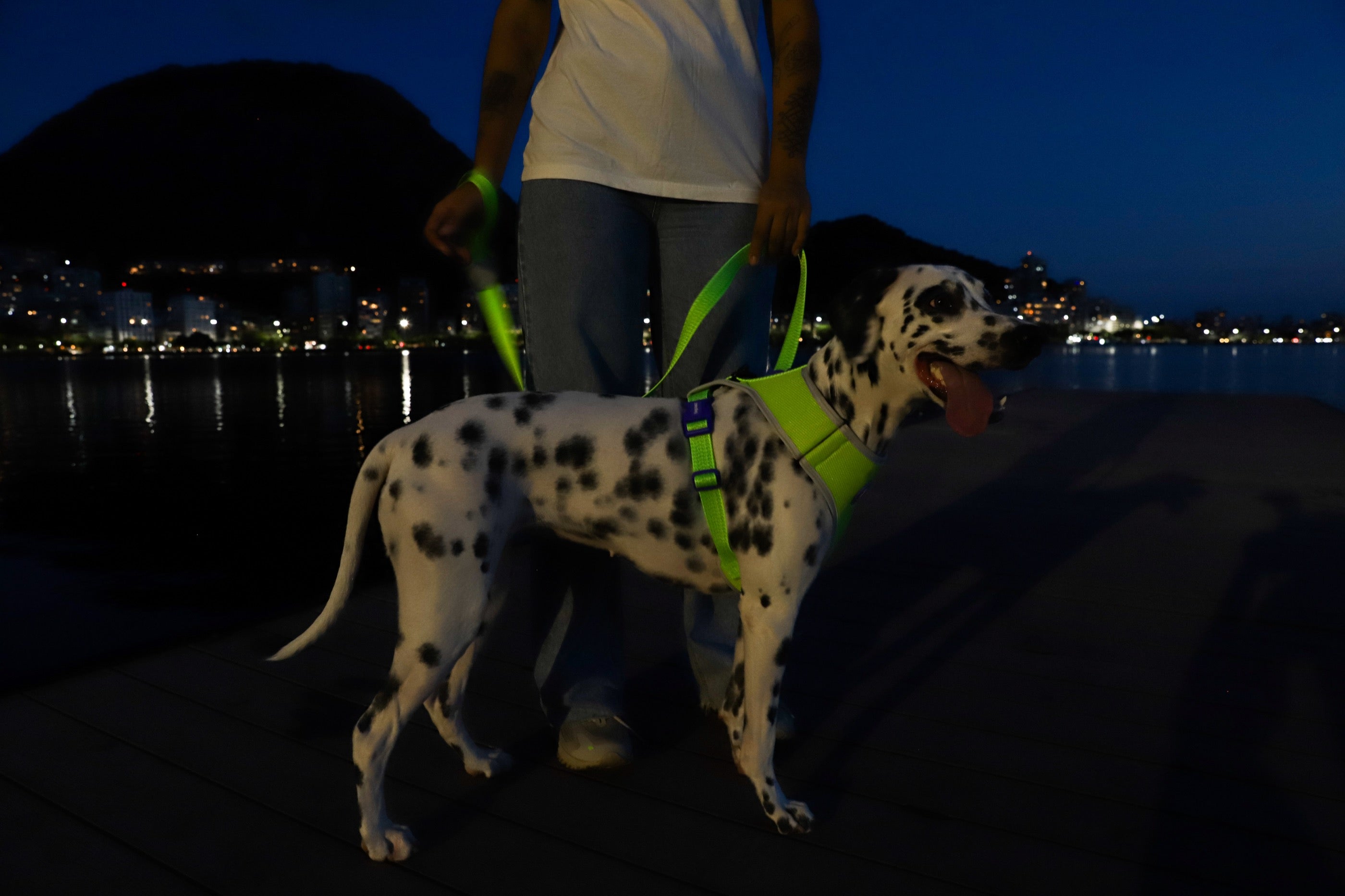 Correa para Perros Nox Lumen - Zee.Dog