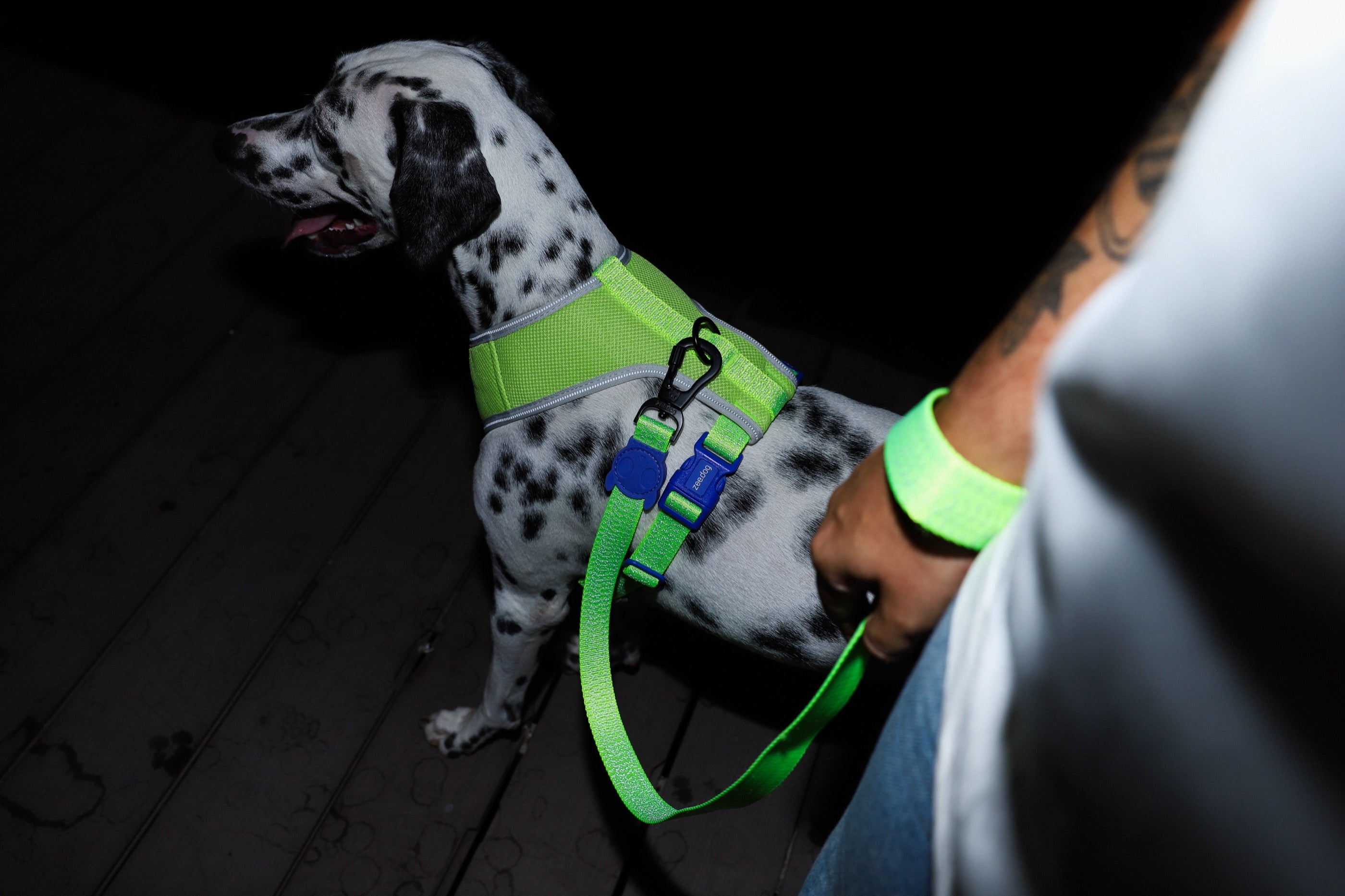 Correa para Perros Nox Lumen - Zee.Dog