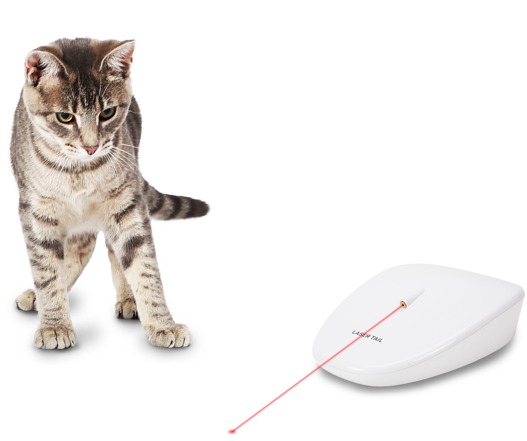 Juguete Láser Automático Laser Tail Para Gatos - Movimientos Aleatorios | PetSafe®