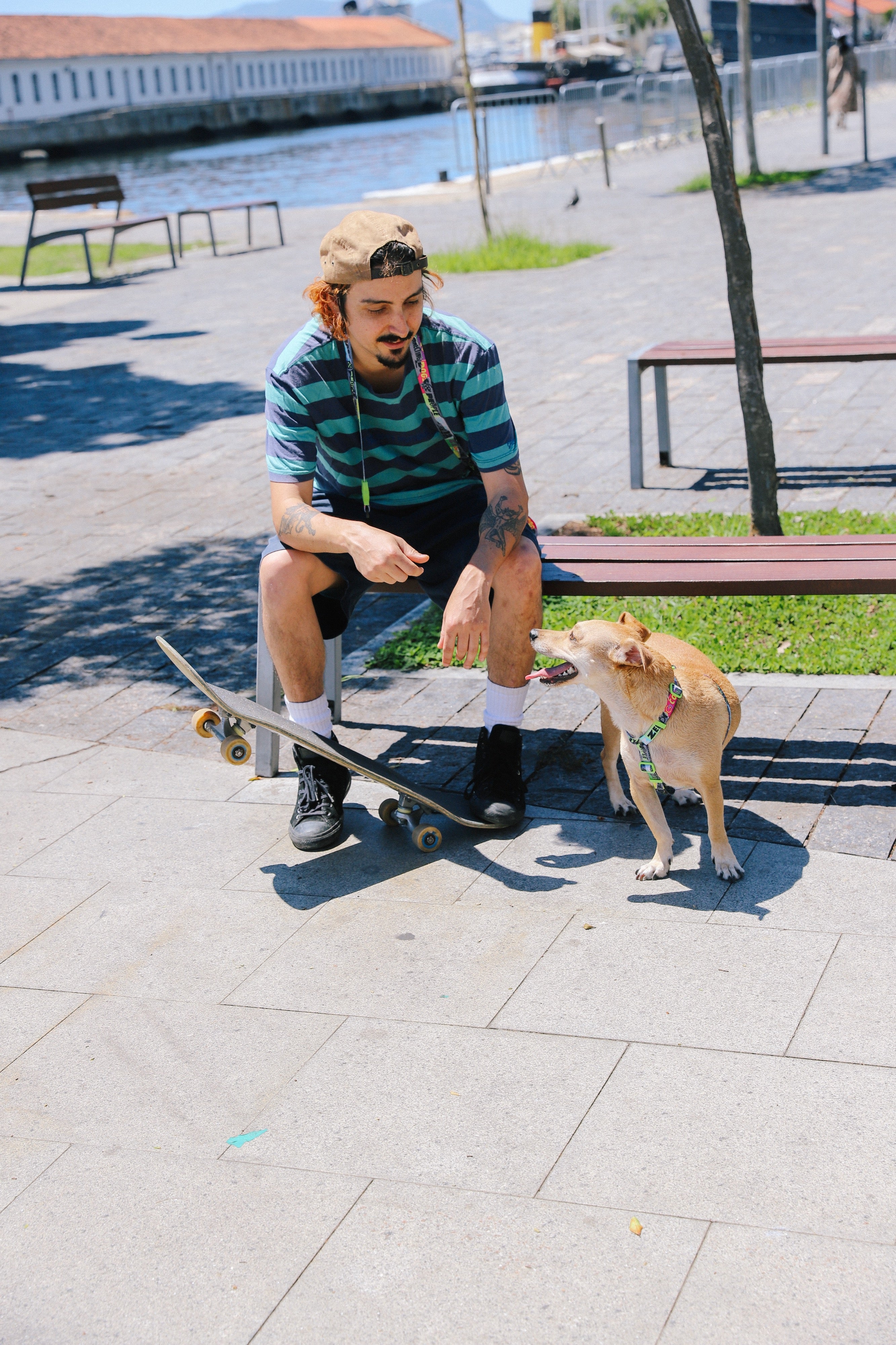 Correa para Perros Manifesto - Colección LOZT de Zee.Dog