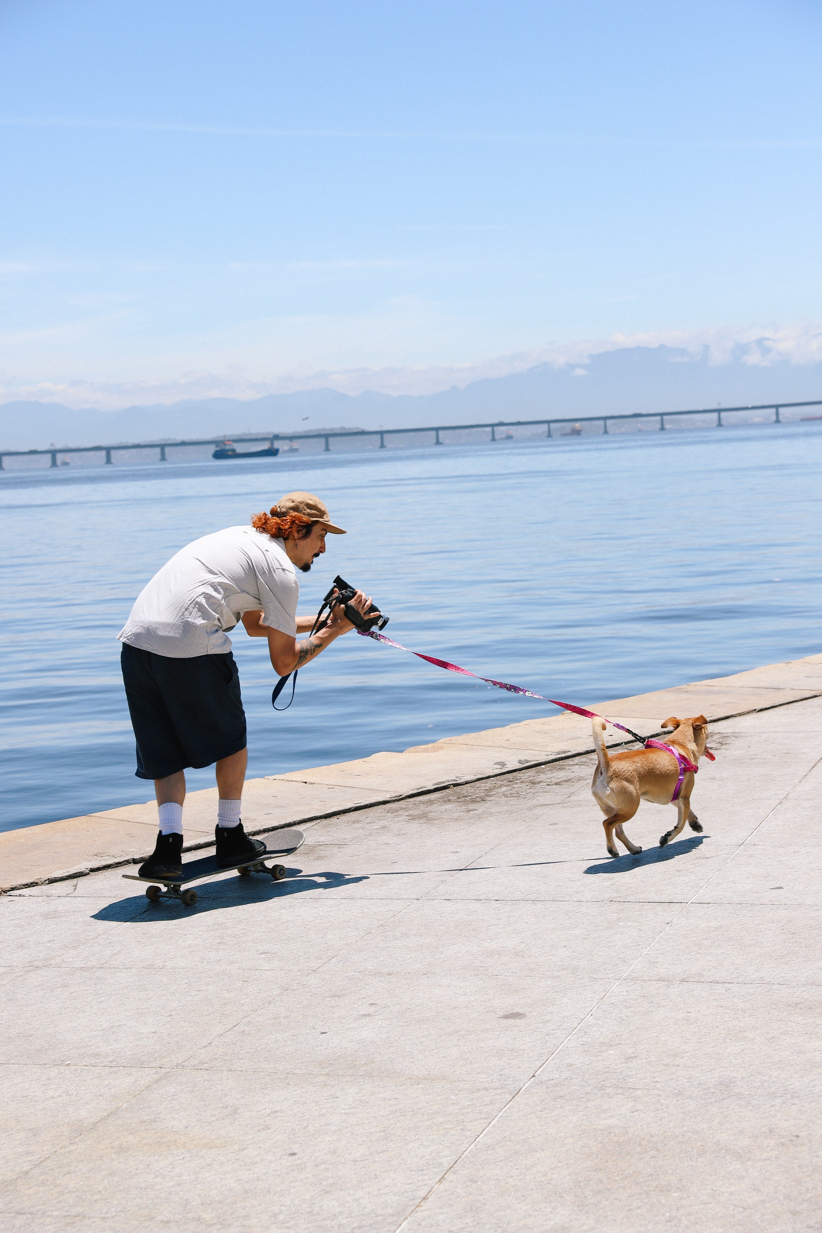 Arnés Anti-Tirones Brain - Softer Walk Harness Colección LOZT de Zee.Dog