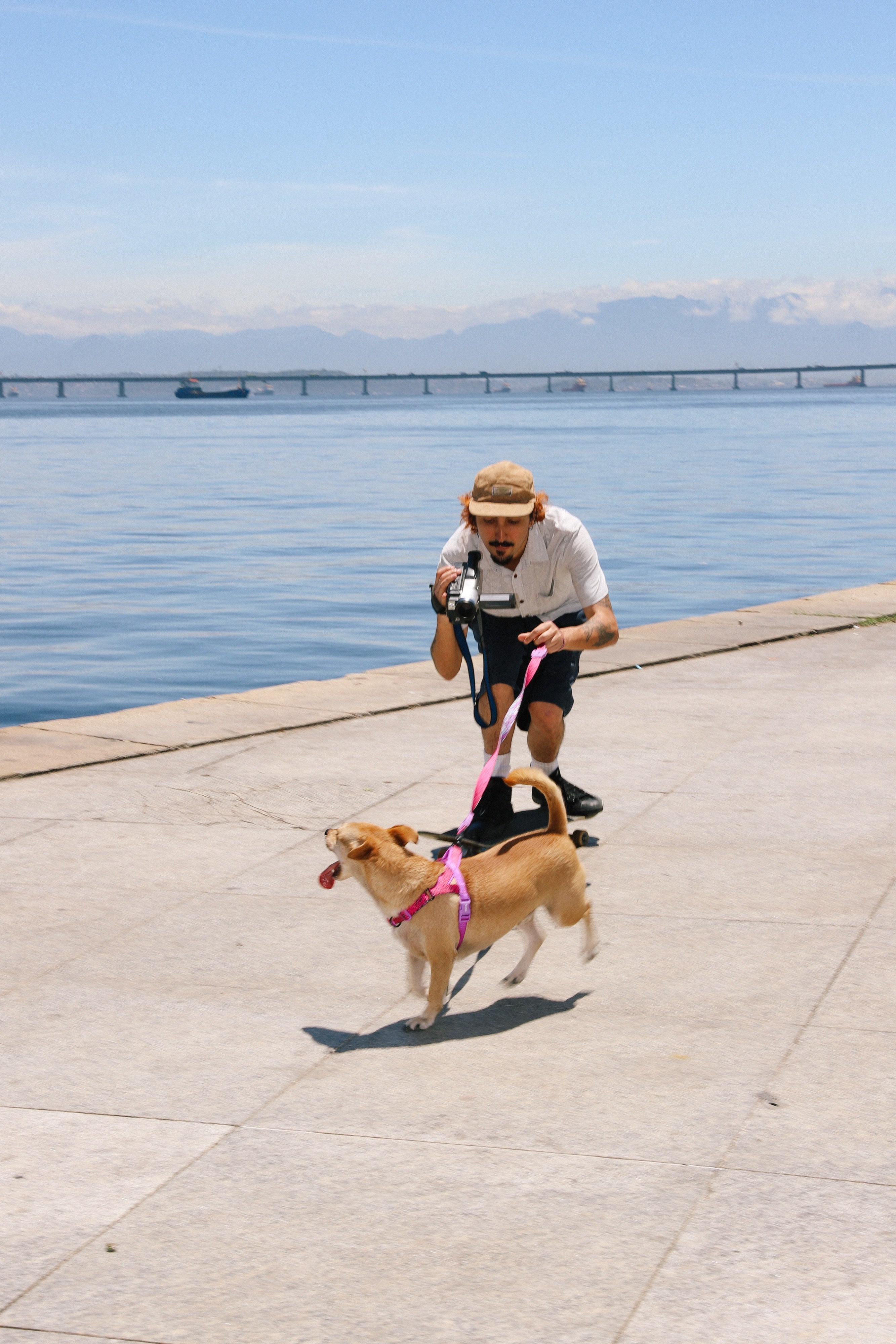 Arnés Anti-Tirones Brain - Softer Walk Harness Colección LOZT de Zee.Dog