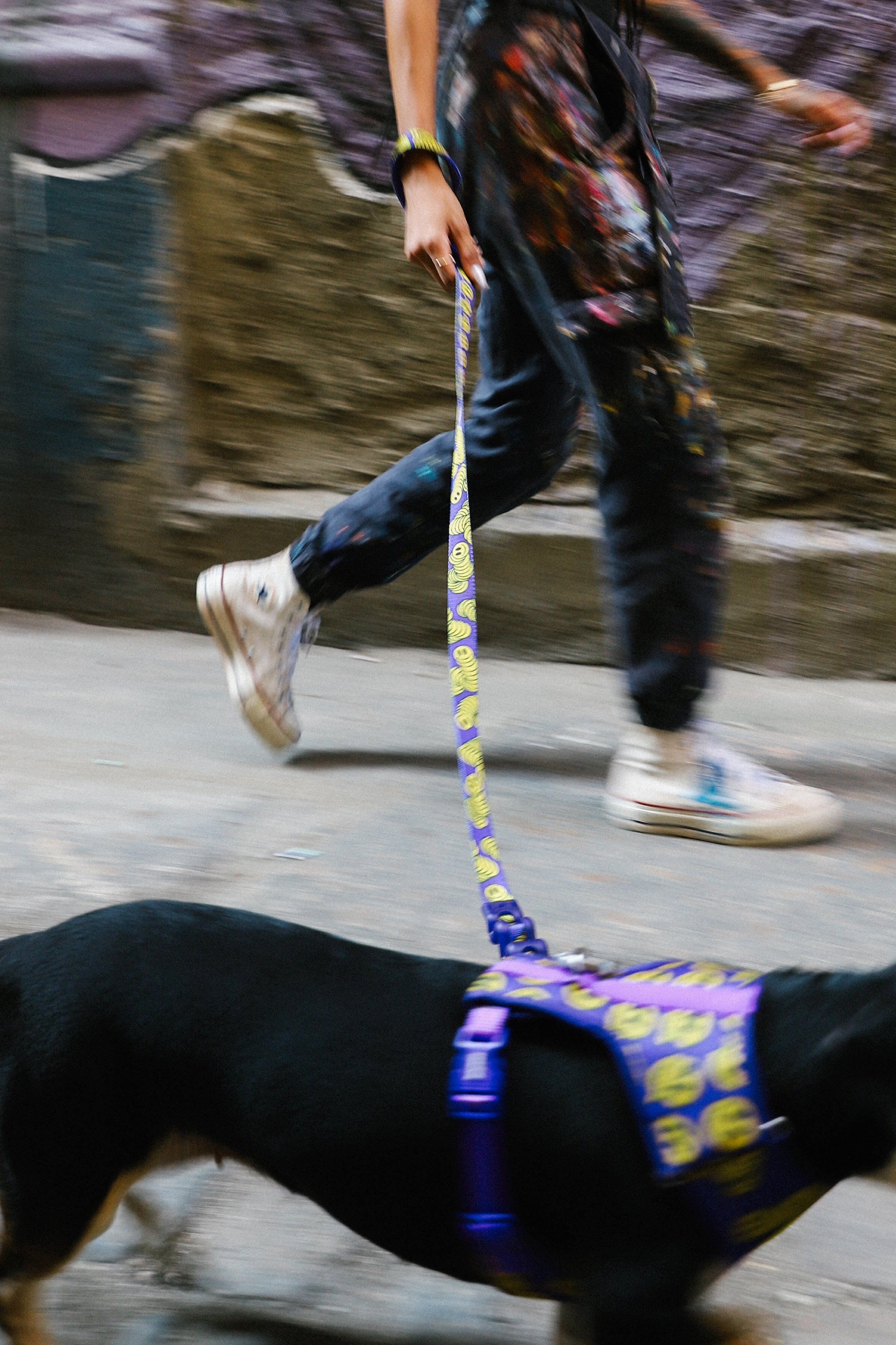 Correa para Perros Zmiley - Colección LOZT de Zee.Dog