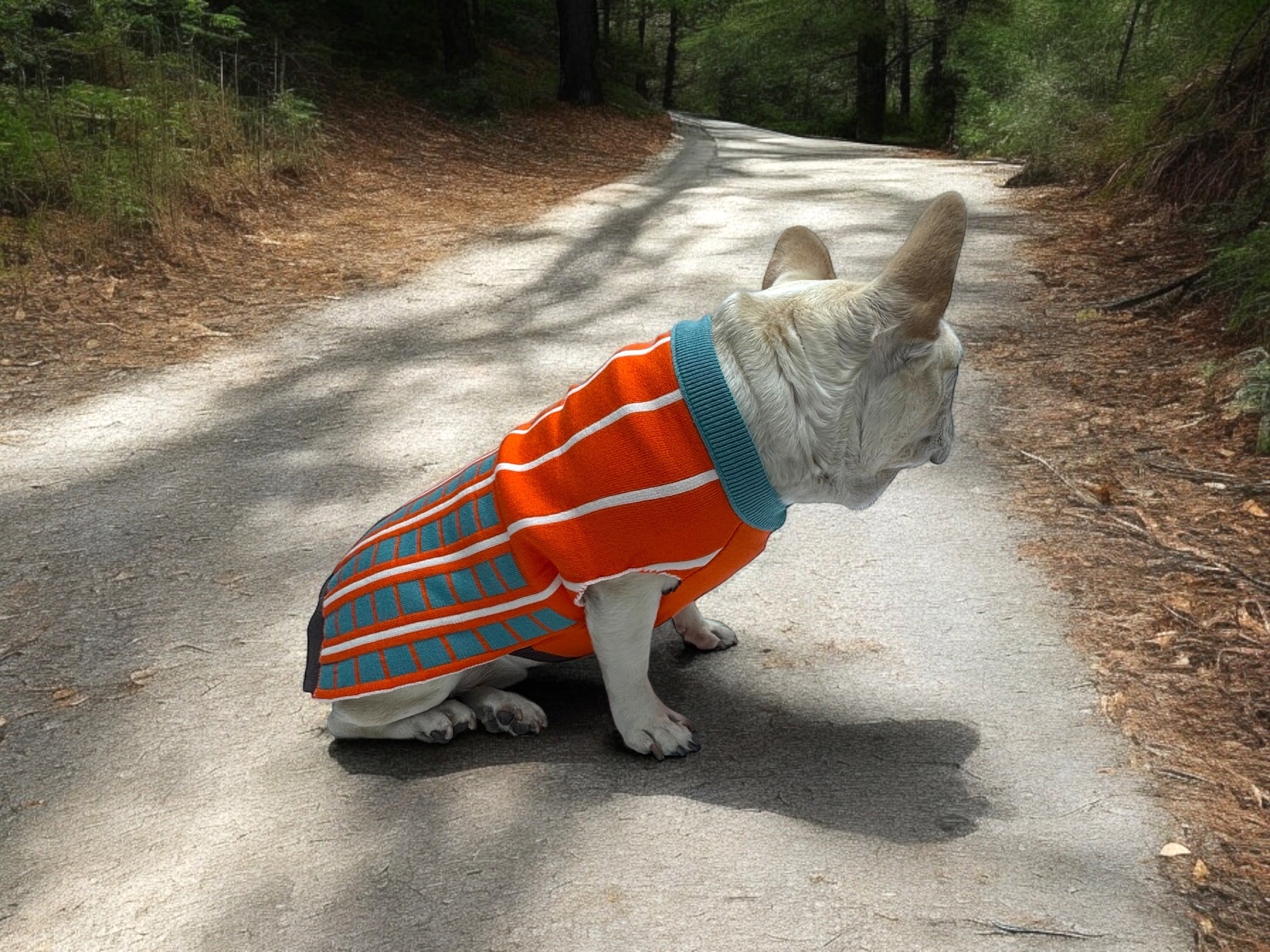 Suéter para Perros con Diseño de Líneas - Naranja