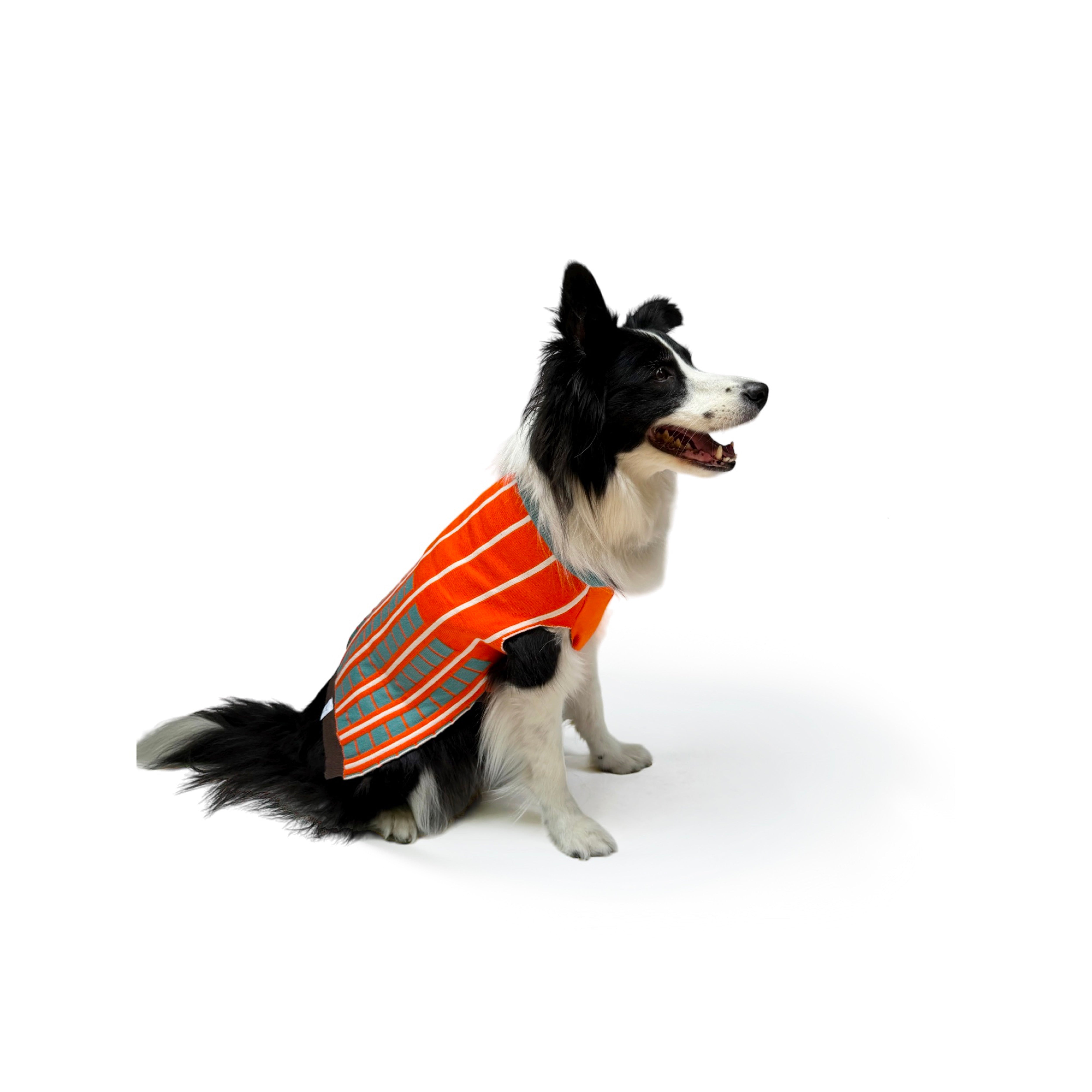 Suéter para Perros con Diseño de Líneas - Naranja