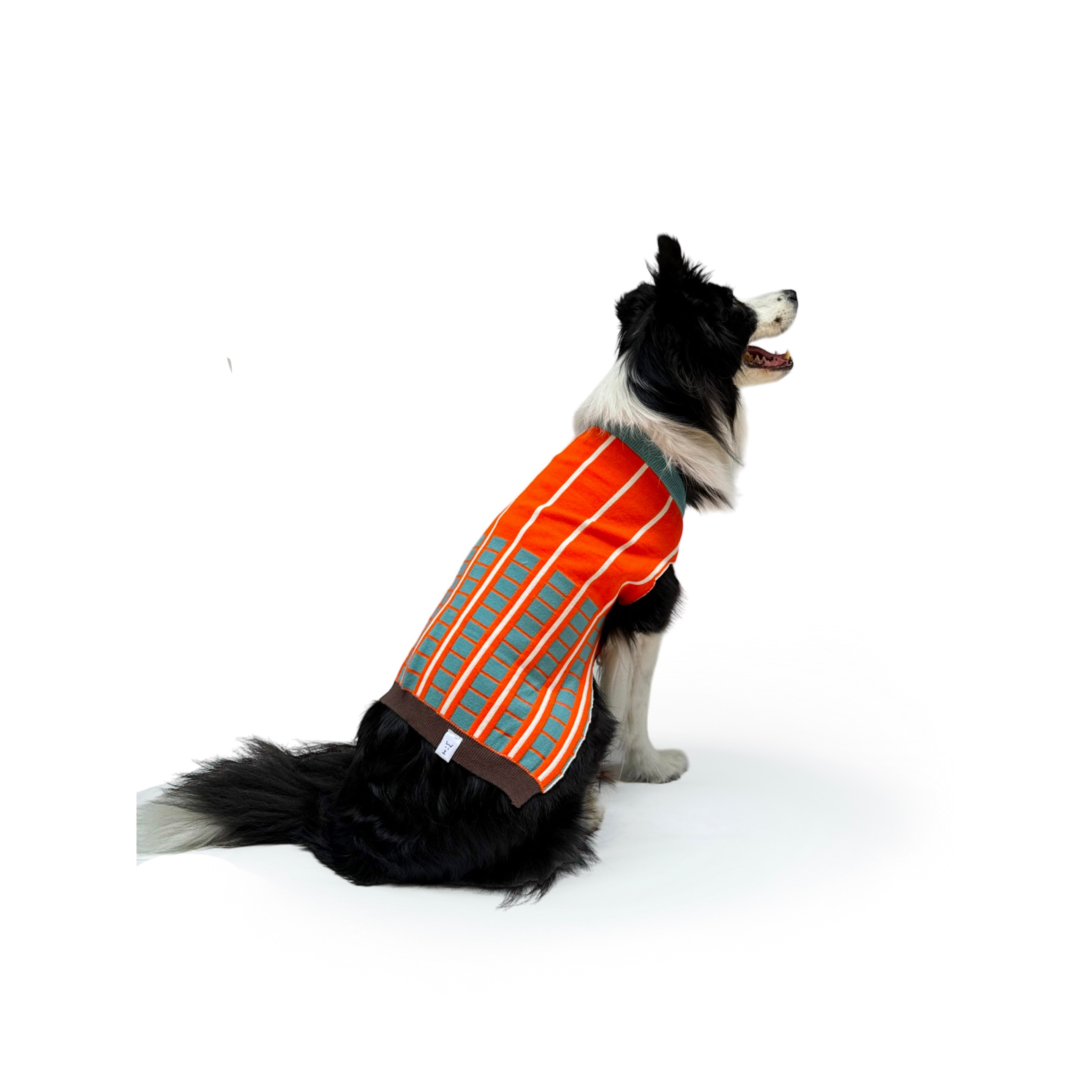 Suéter para Perros con Diseño de Líneas - Naranja