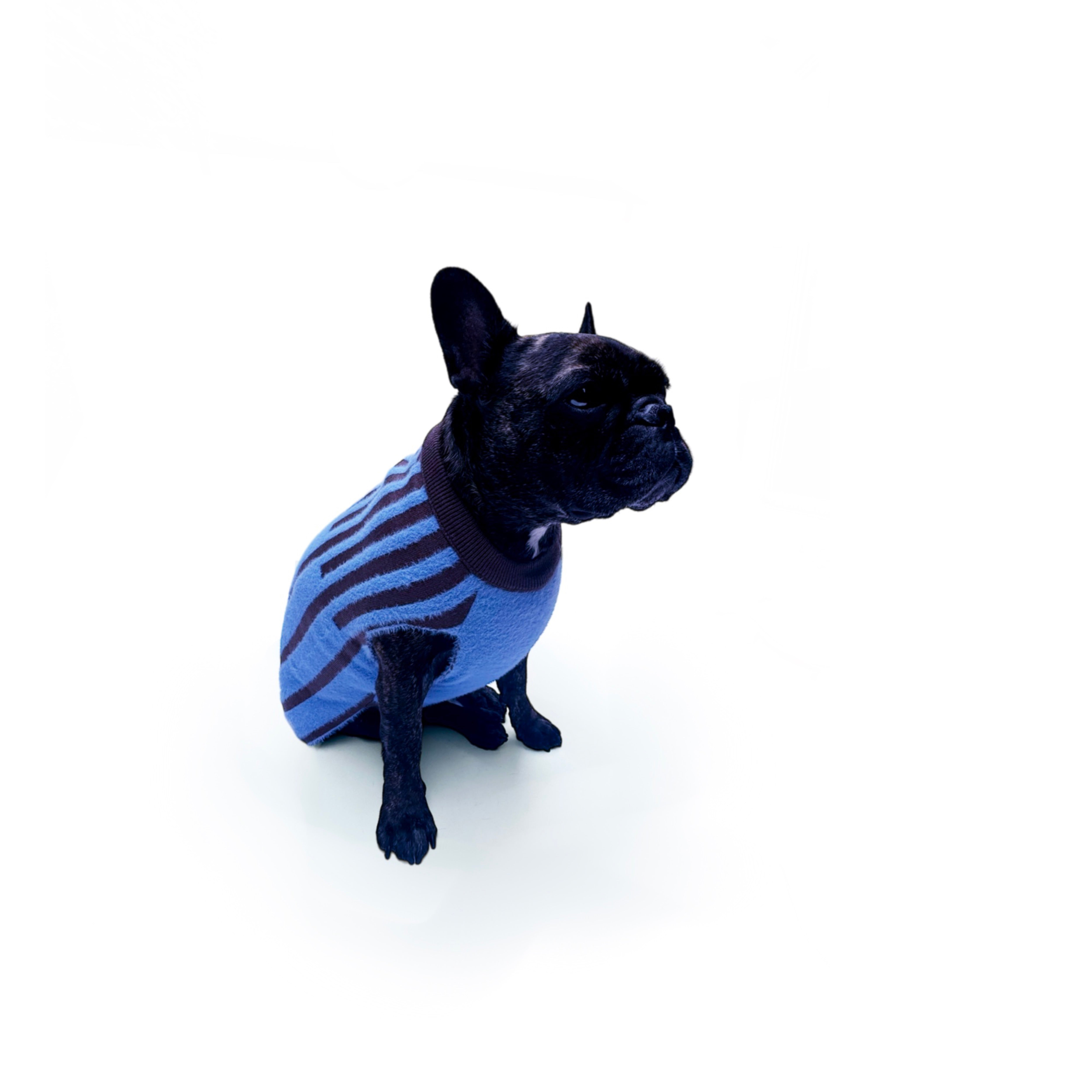 Suéter para Perros con Diseño de Líneas - Azul