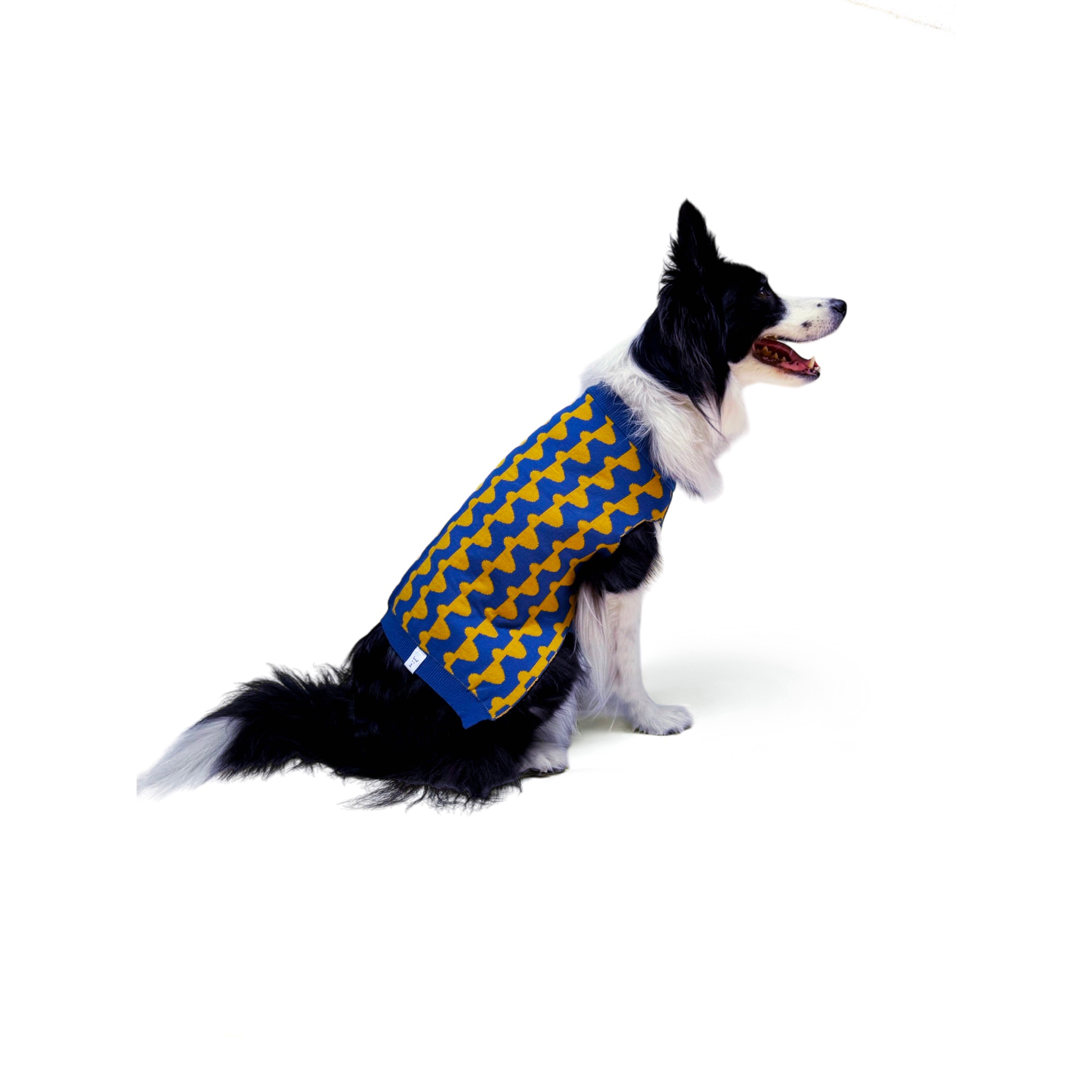 Suéter para Perros con Diseño de Lunares - Azul y Mostaza