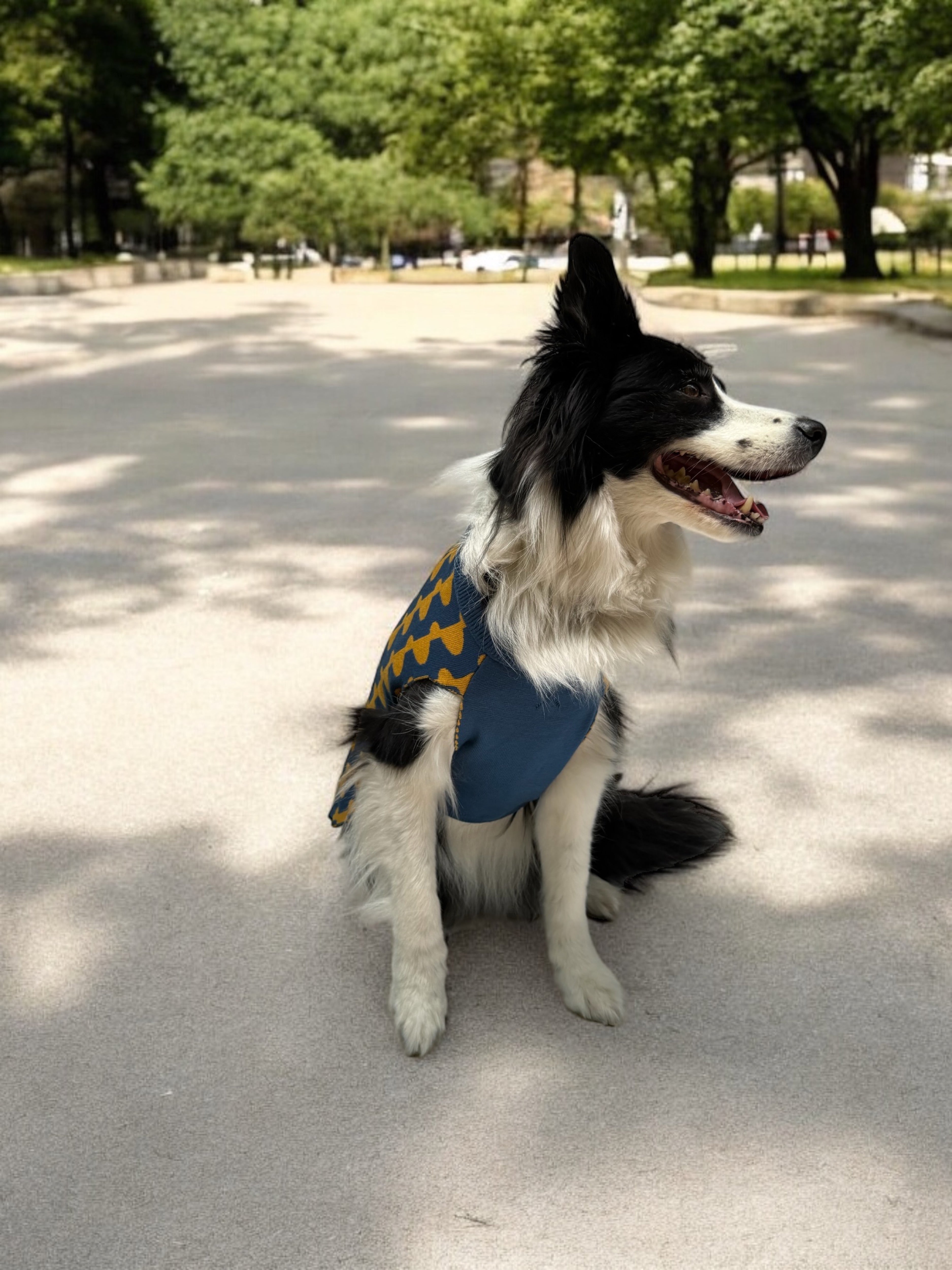 Suéter para Perros con Diseño de Lunares - Azul y Mostaza