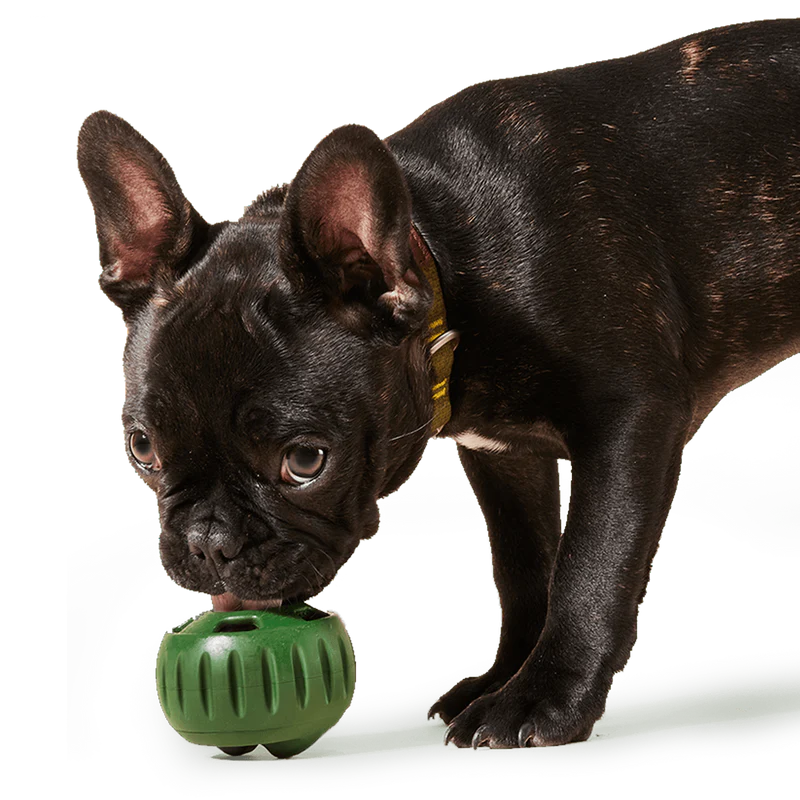 The Pupsicle para Perros en Verde | Juguete Interactivo para Pop´s de Woof