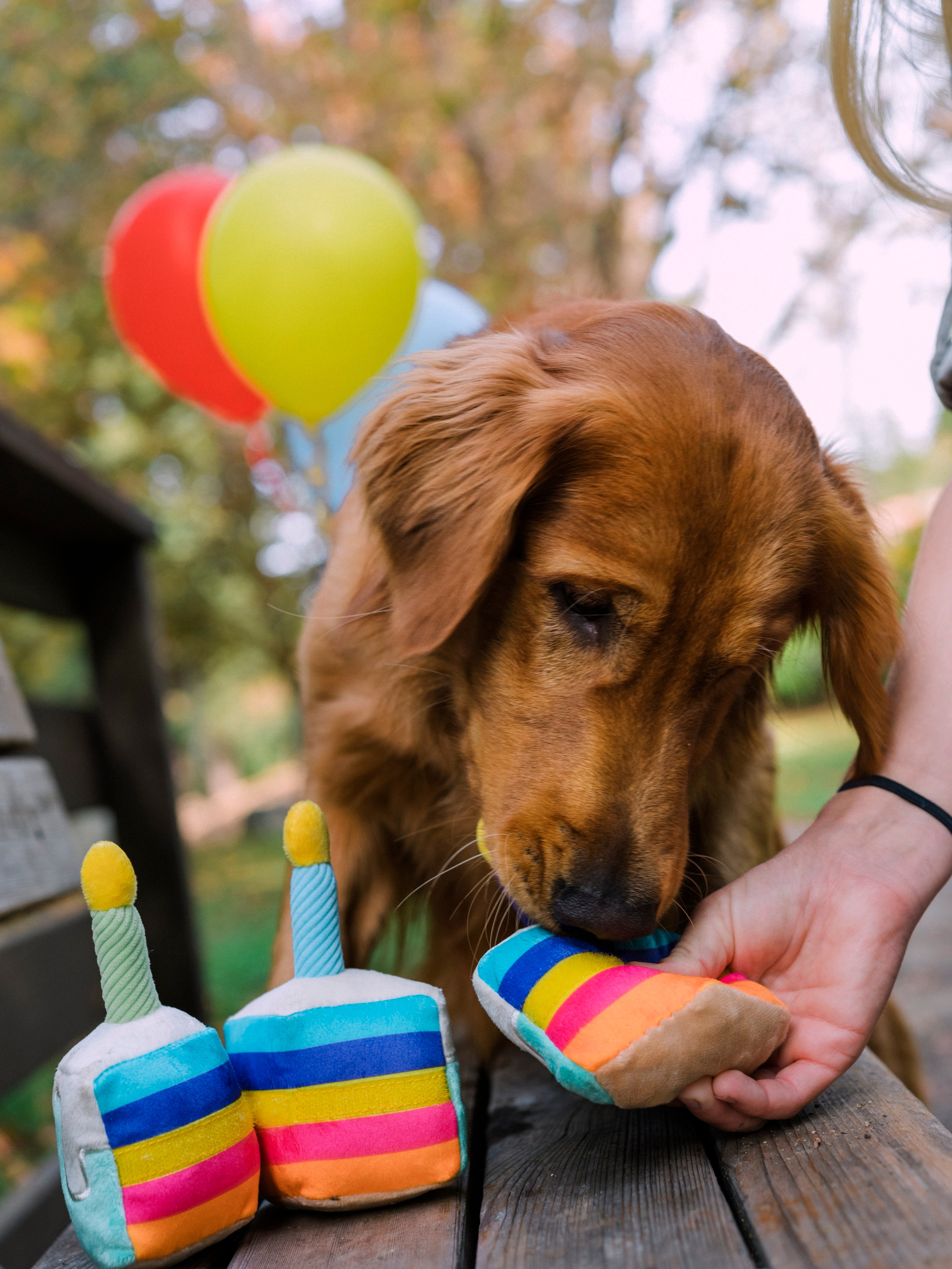 El Pastel Bone-appetit - Juguete de Peluche para Perros Party Time™ | Pet P.L.A.Y.