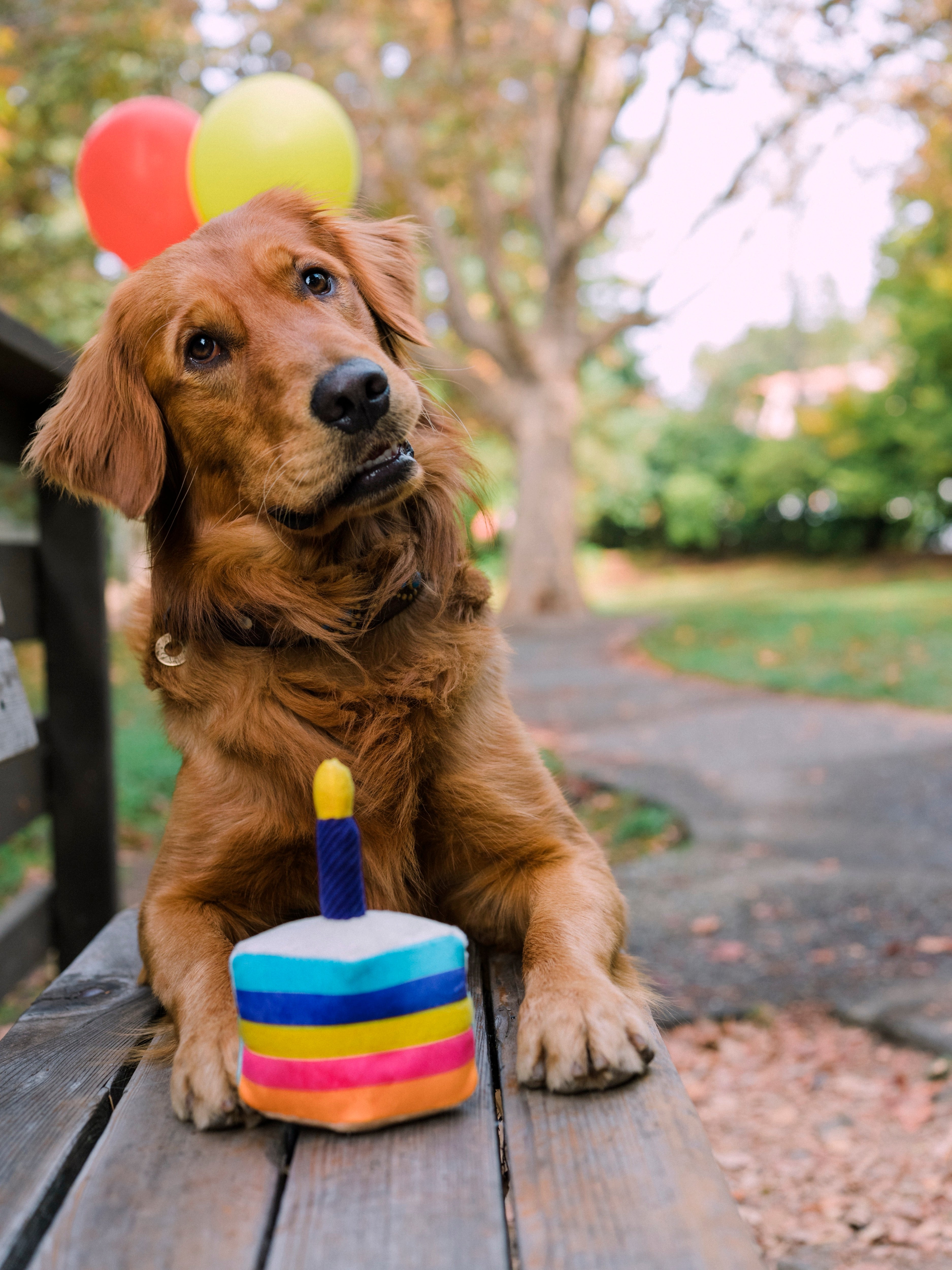 El Pastel Bone-appetit - Juguete de Peluche para Perros Party Time™ | Pet P.L.A.Y.