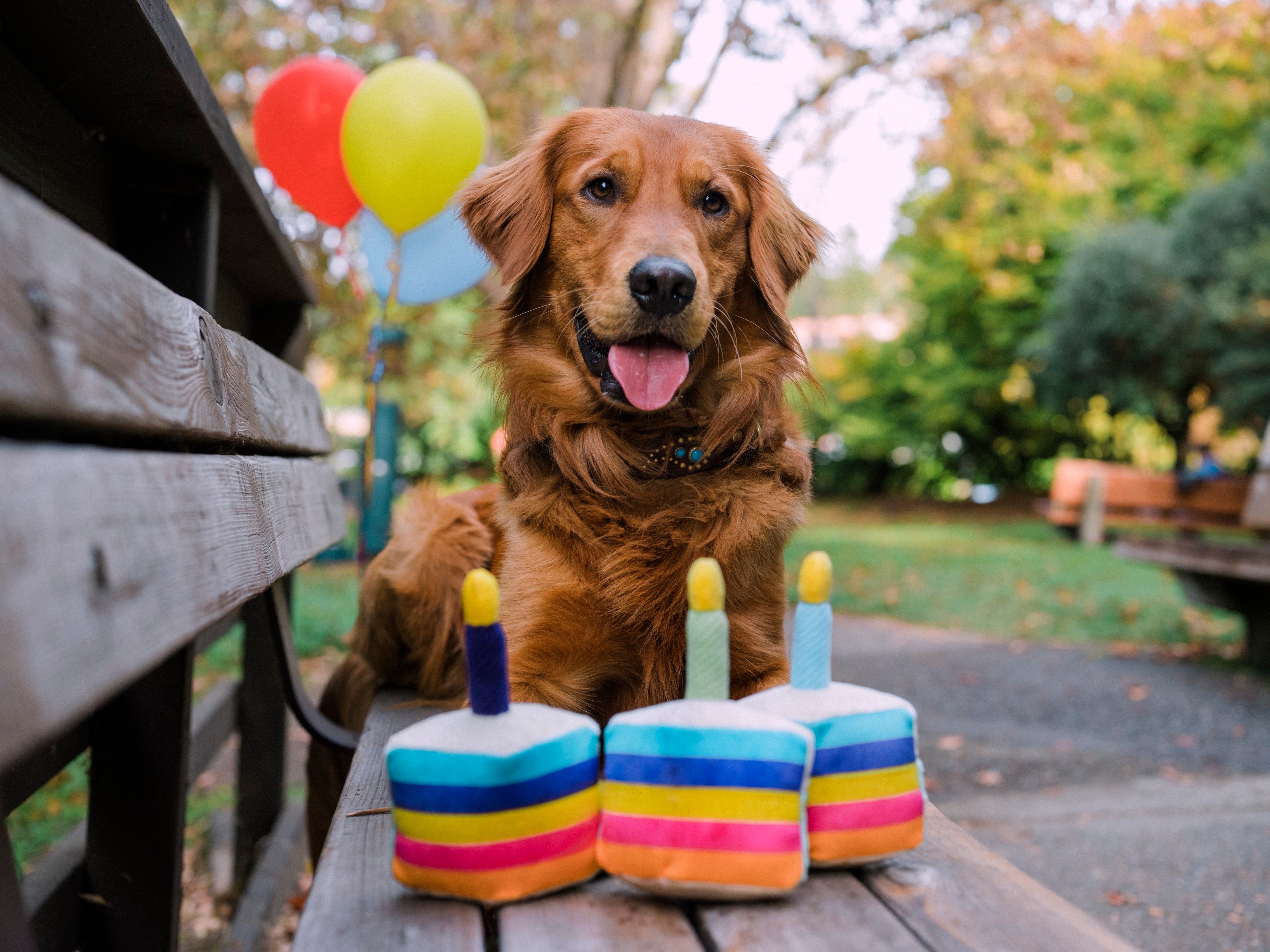 El Pastel Bone-appetit - Juguete de Peluche para Perros Party Time™ | Pet P.L.A.Y.