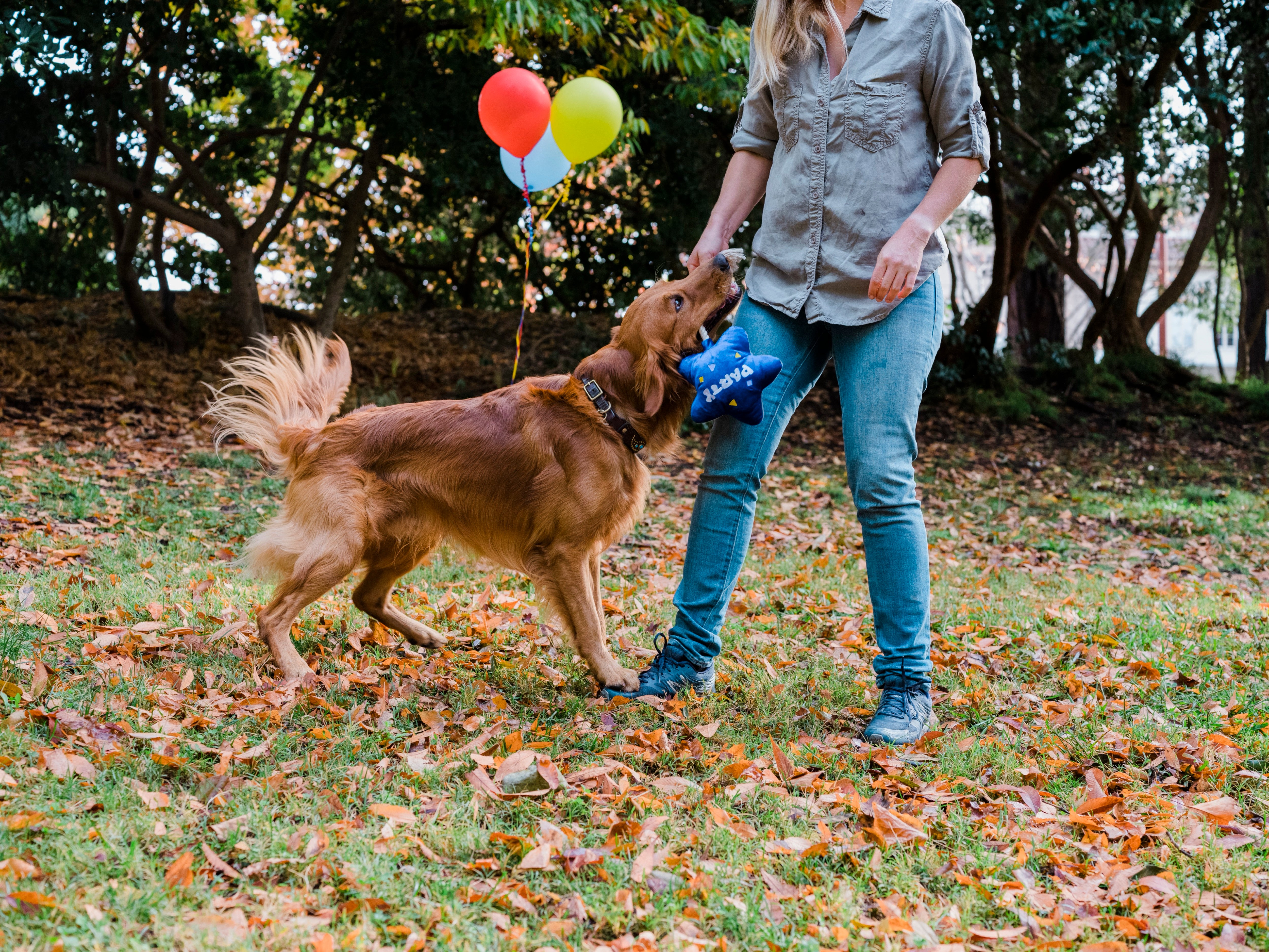 El Globo Fiesta - Juguete de Peluche para Perros Party Time™ | Pet P.L.A.Y.