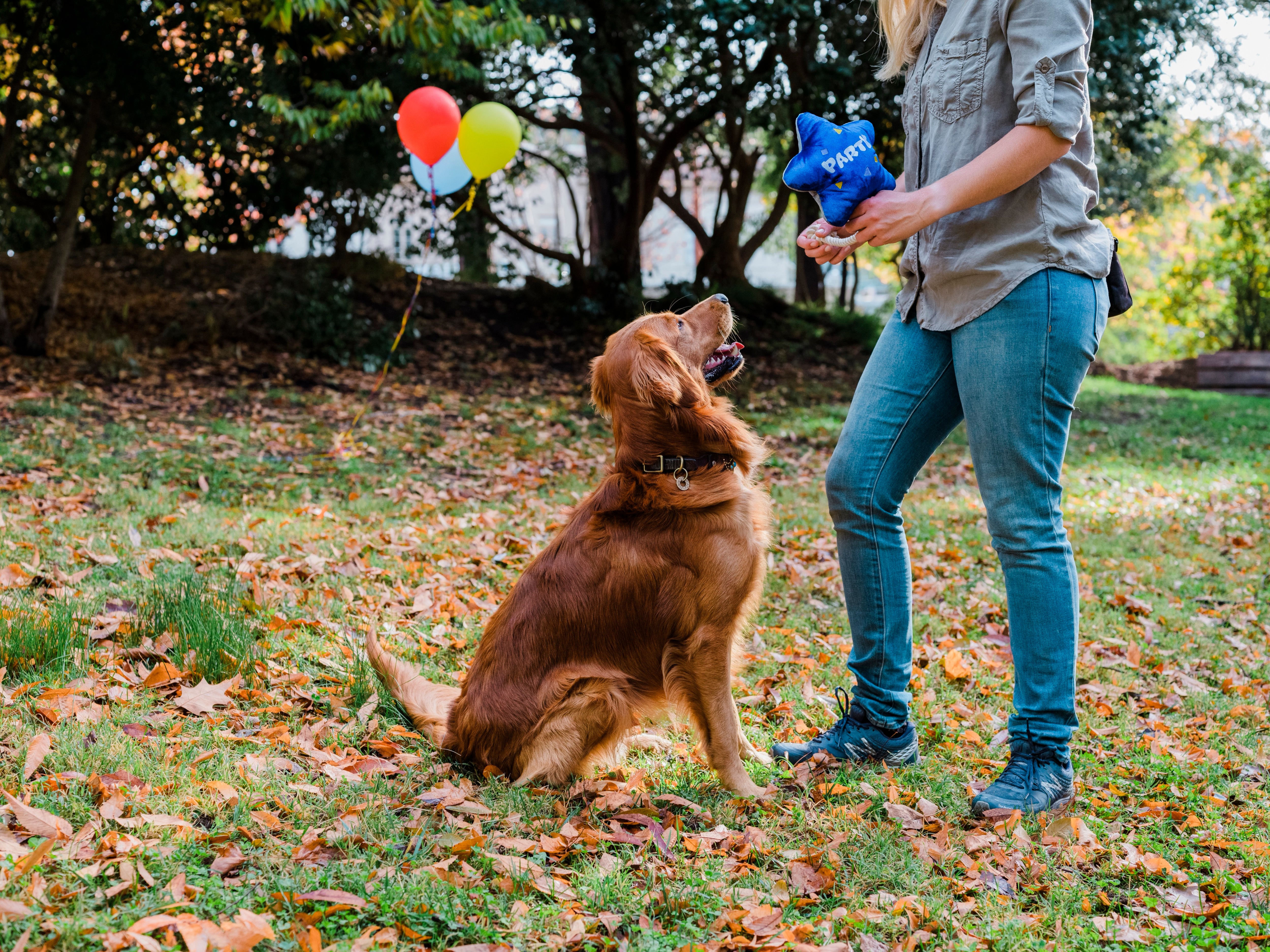 El Globo Fiesta - Juguete de Peluche para Perros Party Time™ | Pet P.L.A.Y.