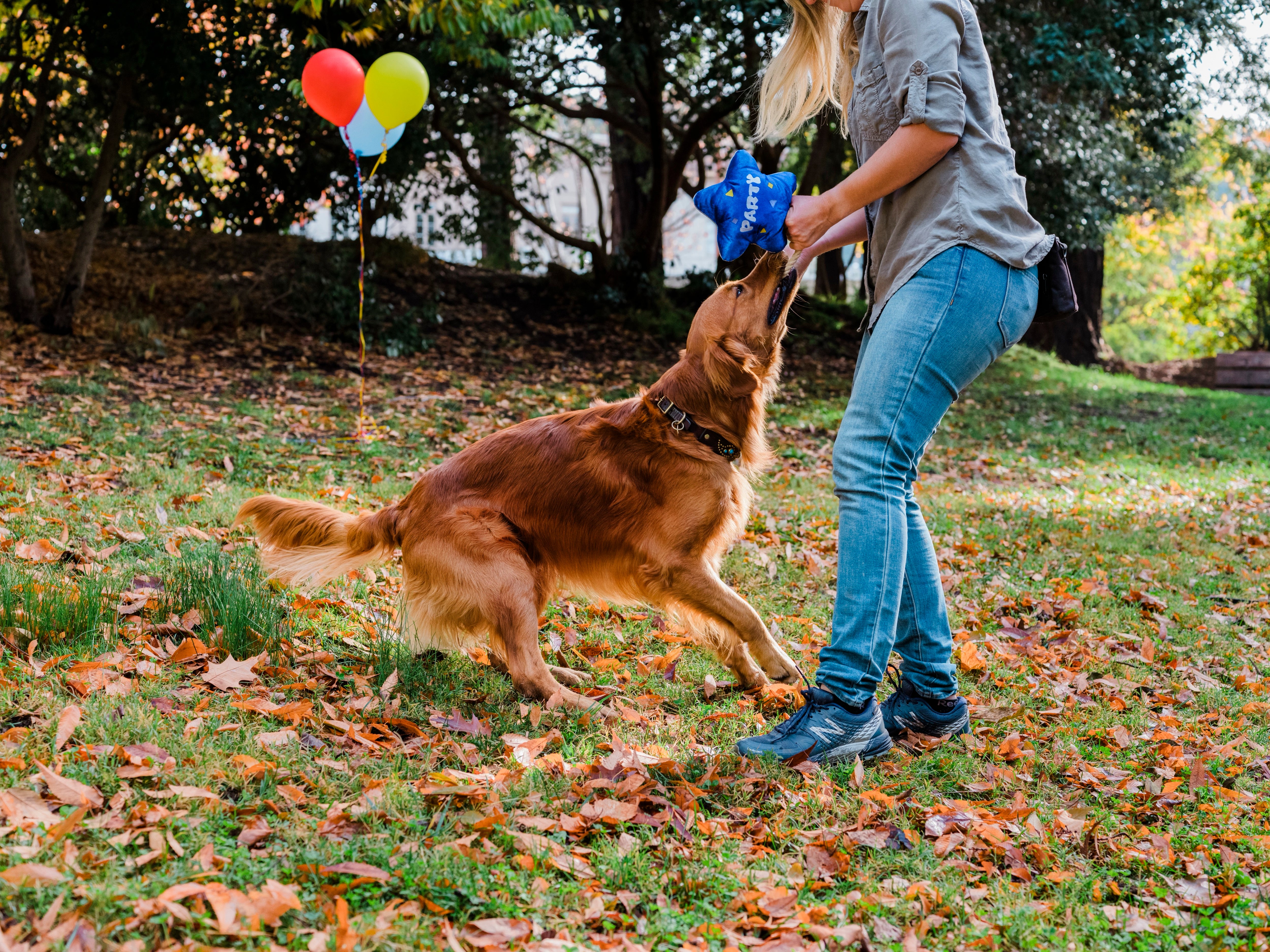 El Globo Fiesta - Juguete de Peluche para Perros Party Time™ | Pet P.L.A.Y.