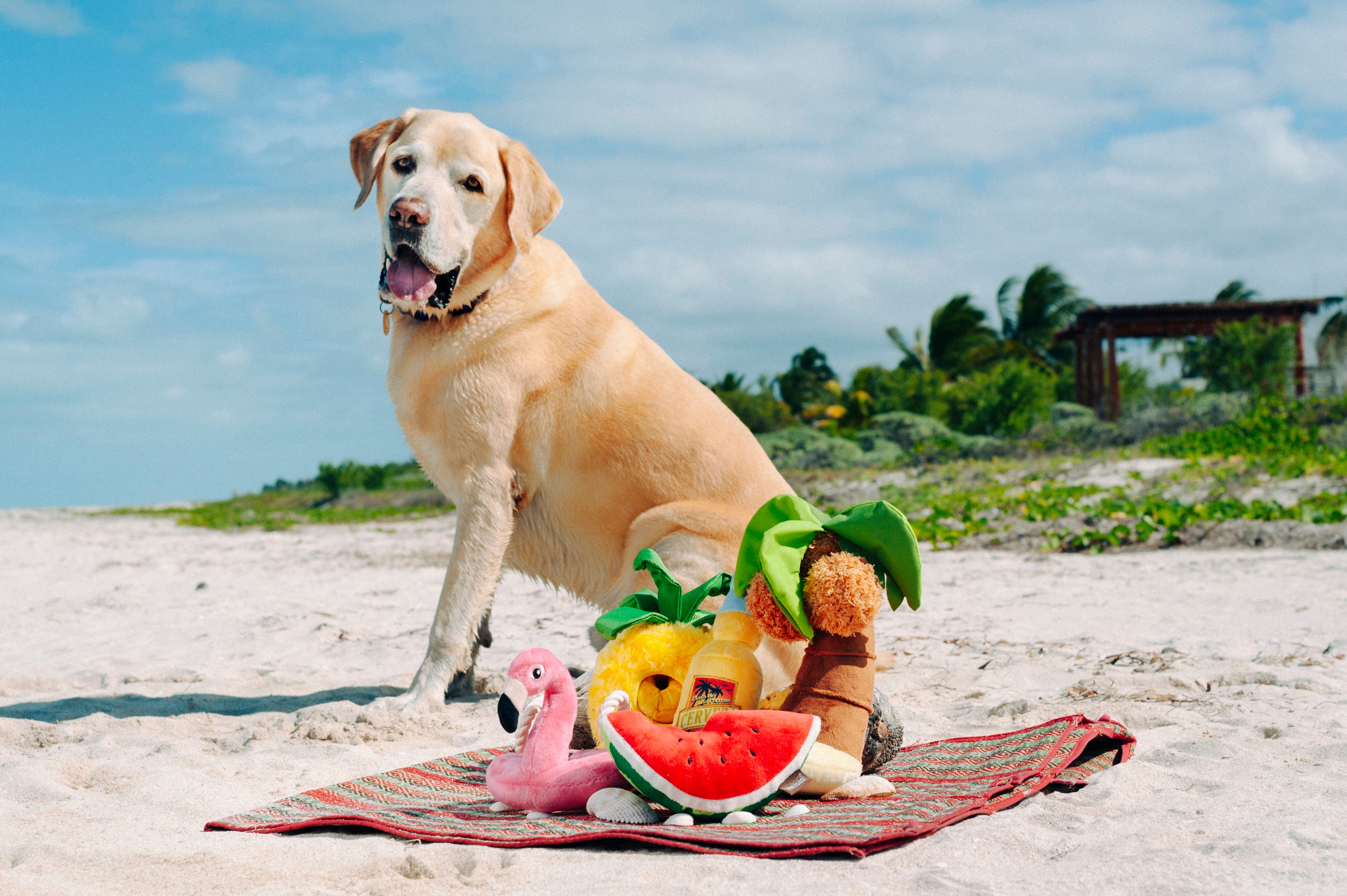 El Flamenco Flotante - Juguete de Peluche para Perros Tropical Paradise™ | Pet P.L.A.Y.