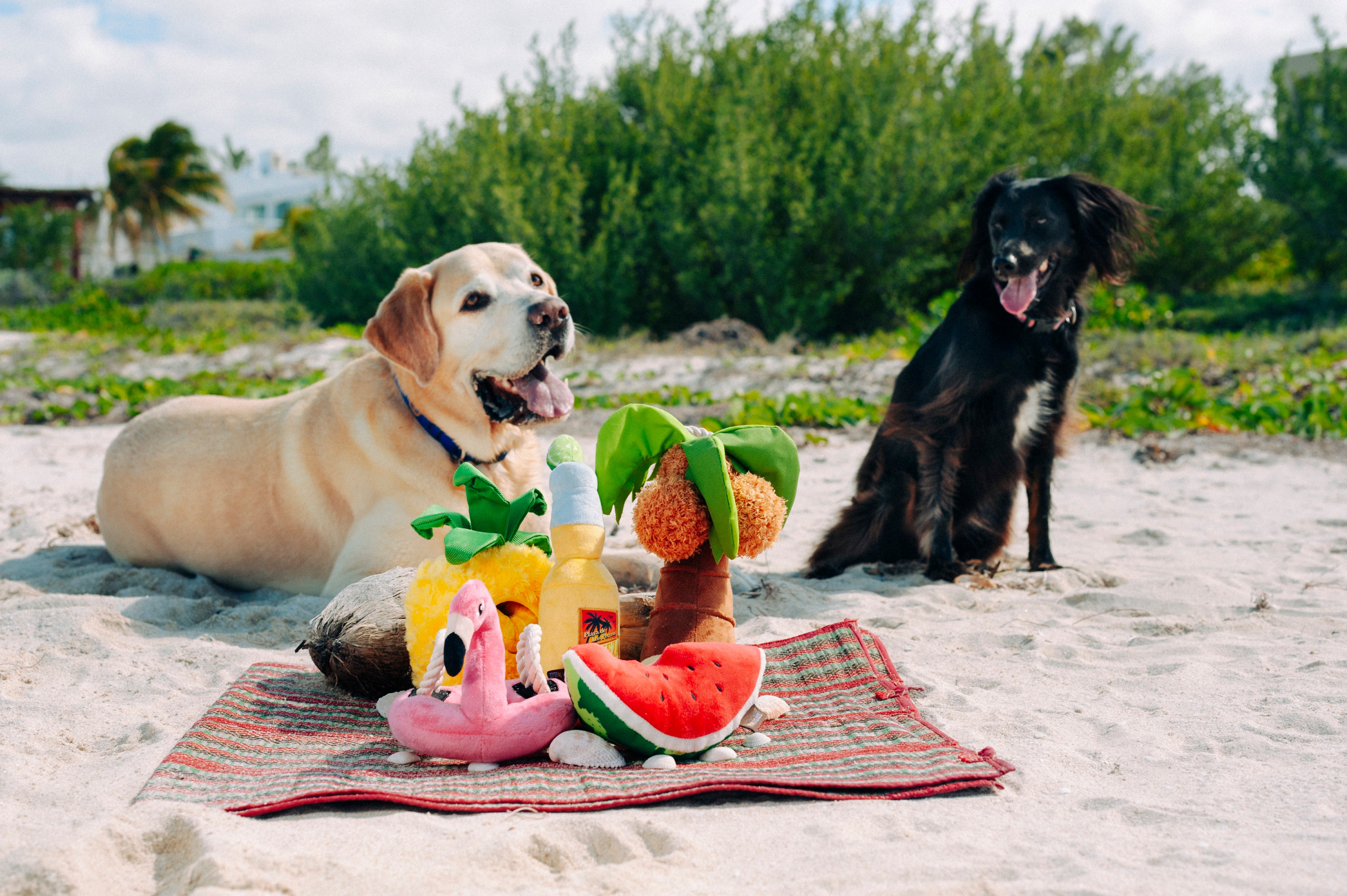 El Flamenco Flotante - Juguete de Peluche para Perros Tropical Paradise™ | Pet P.L.A.Y.