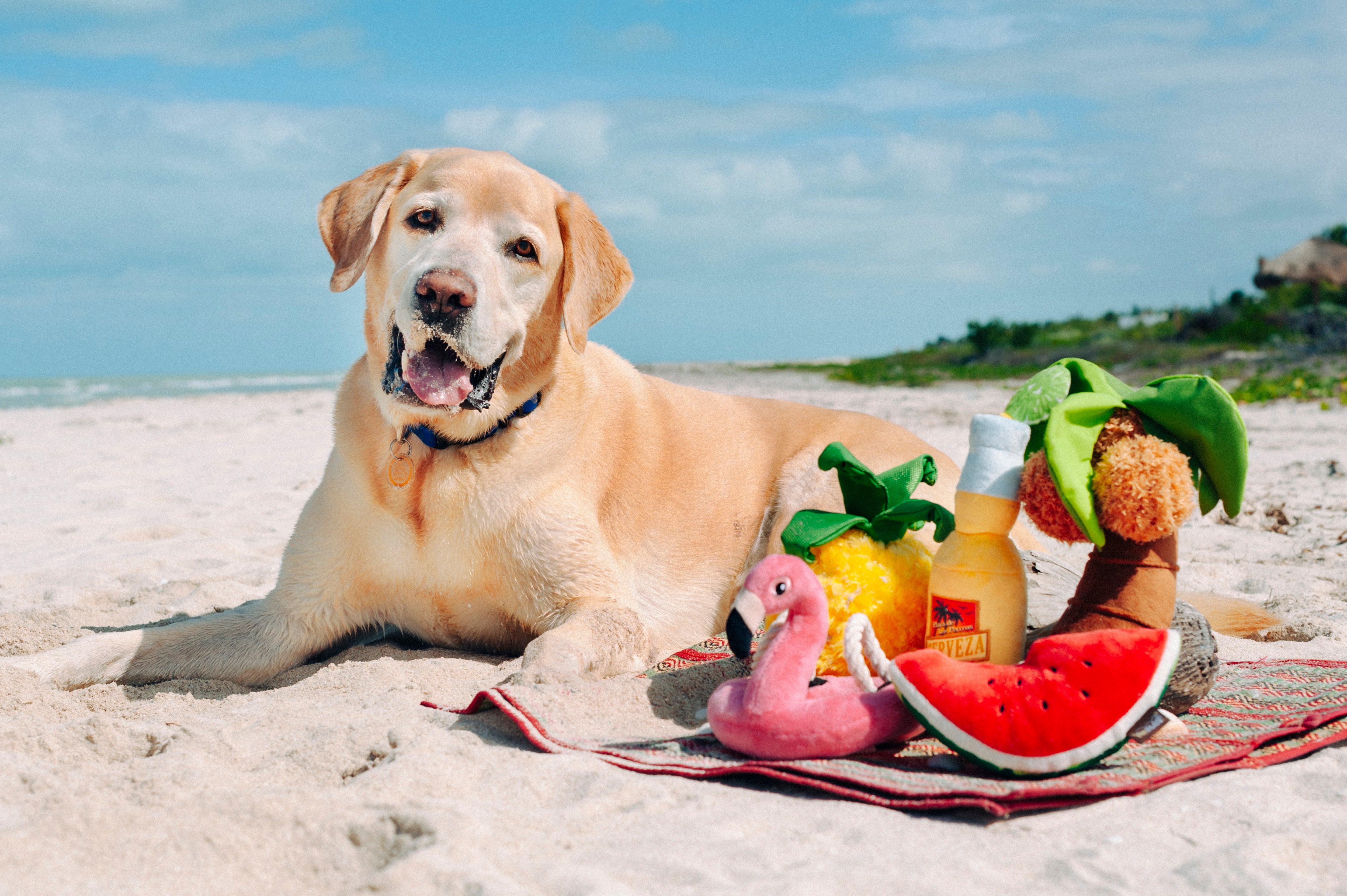 El Flamenco Flotante - Juguete de Peluche para Perros Tropical Paradise™ | Pet P.L.A.Y.