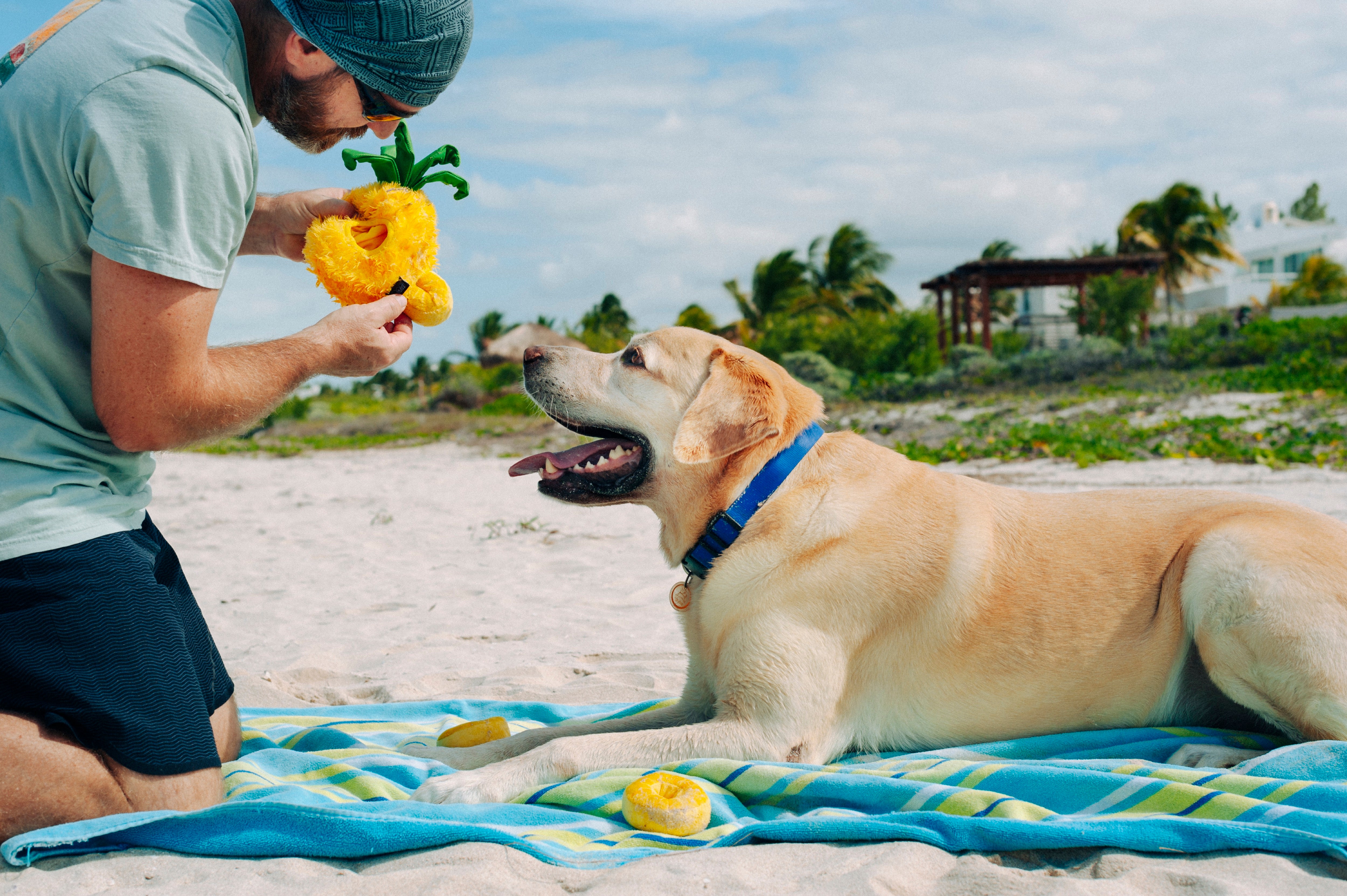 La Piña - Juguete de Peluche para Perros Tropical Paradise™ | Pet P.L.A.Y.