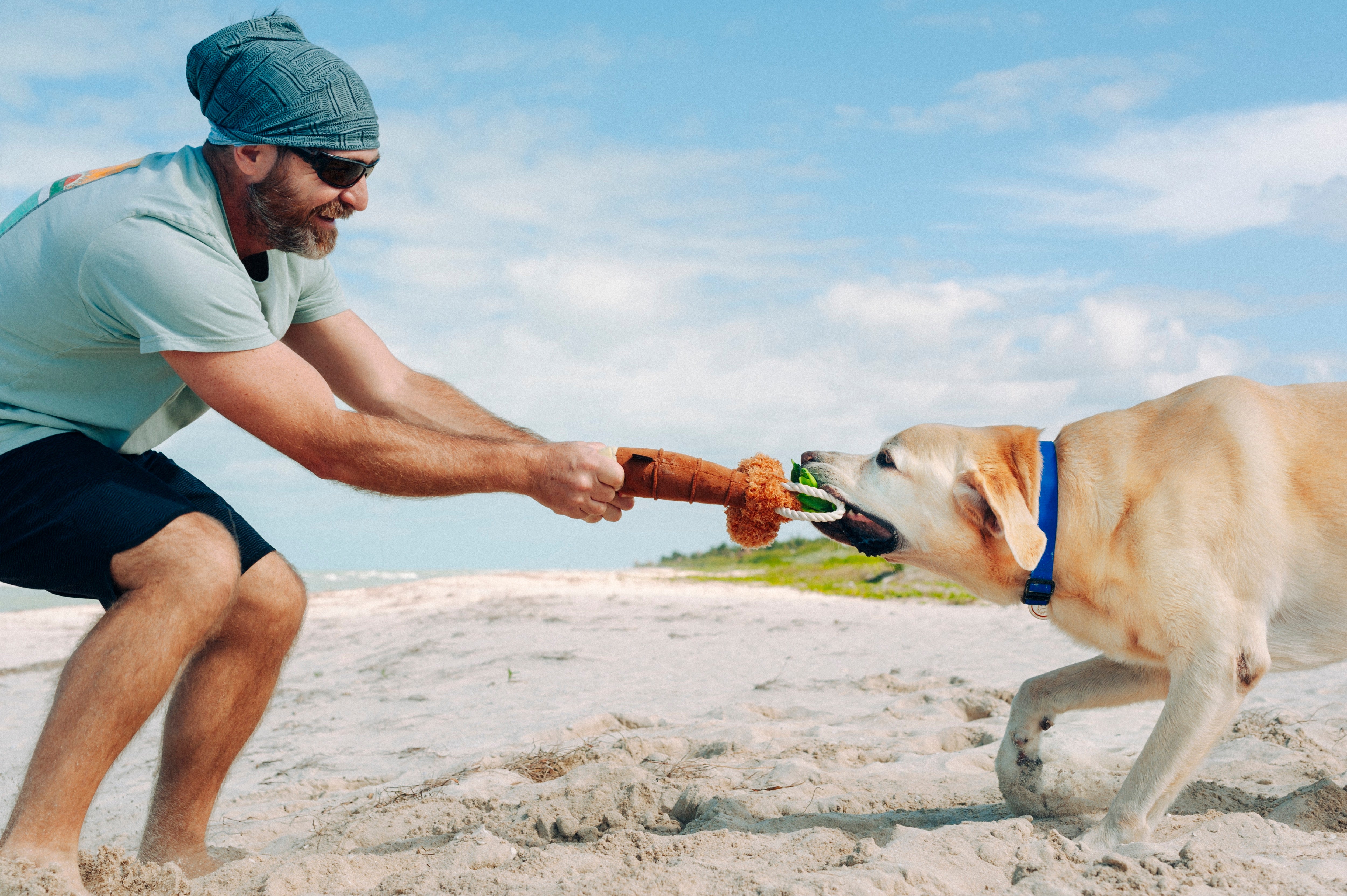 La Palma - Juguete de Peluche para Perros Tropical Paradise™ | Pet P.L.A.Y.