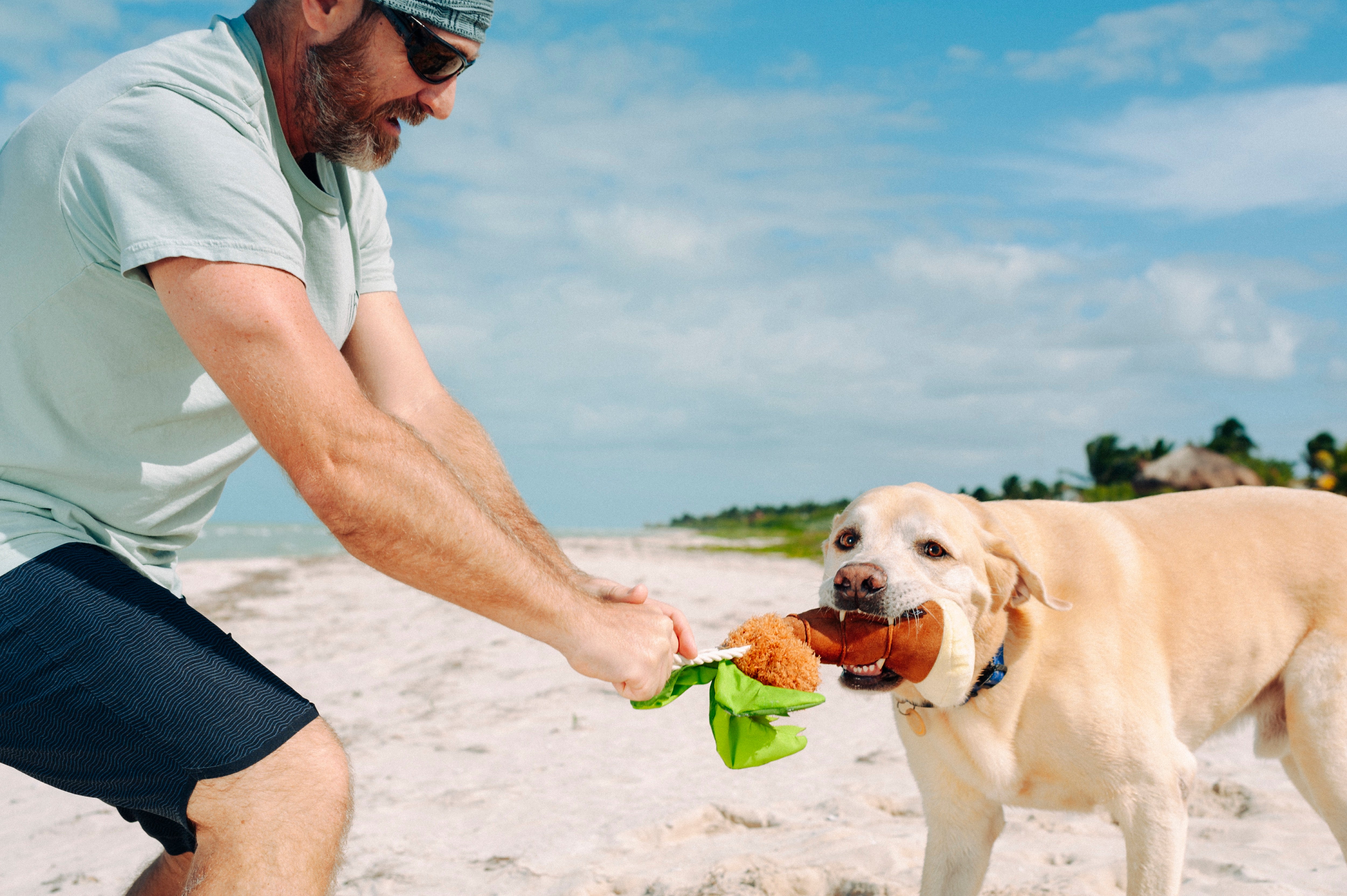 La Palma - Juguete de Peluche para Perros Tropical Paradise™ | Pet P.L.A.Y.