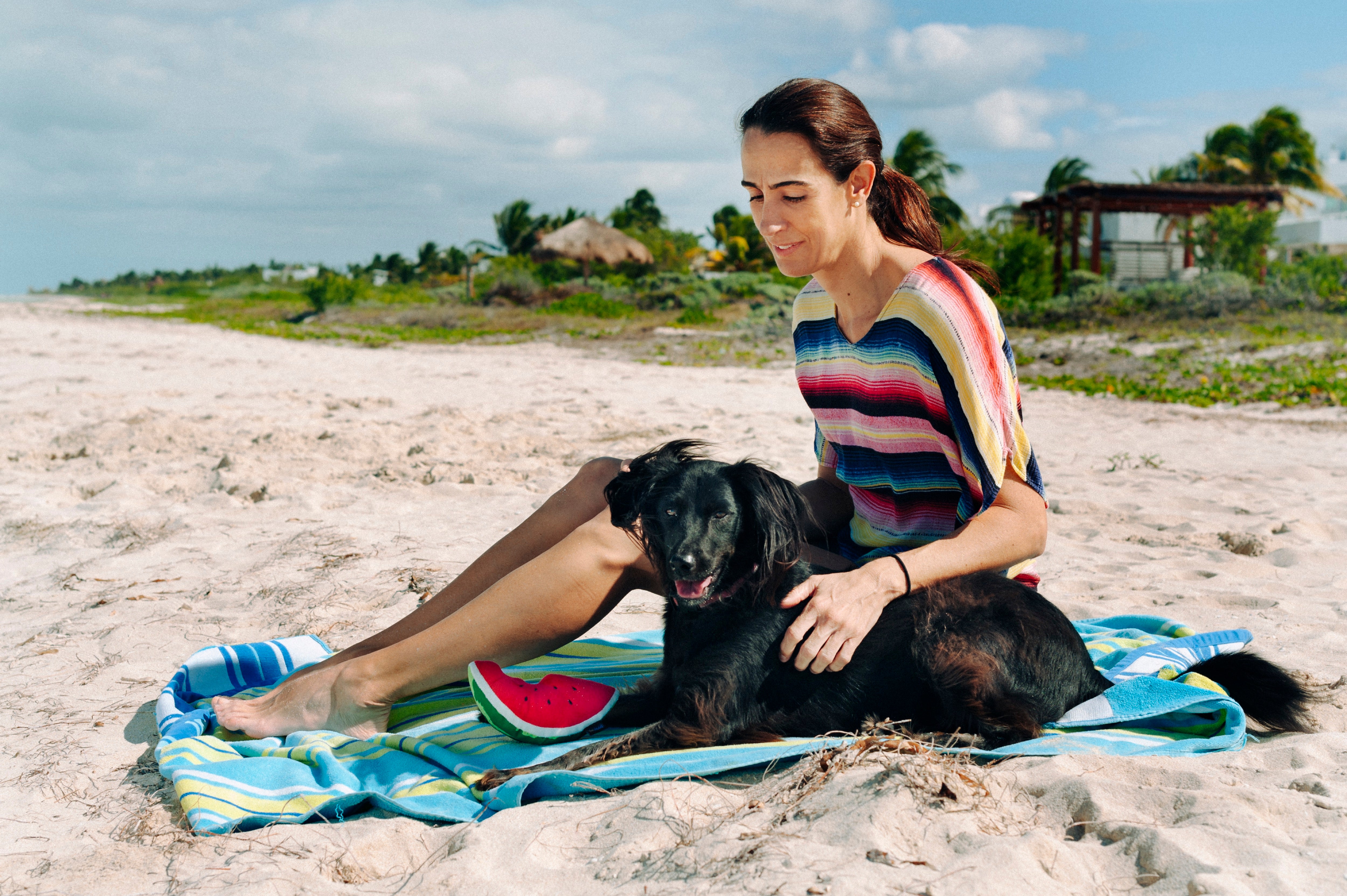 La Sandía - Juguete de Peluche para Perros Tropical Paradise™ | Pet P.L.A.Y.