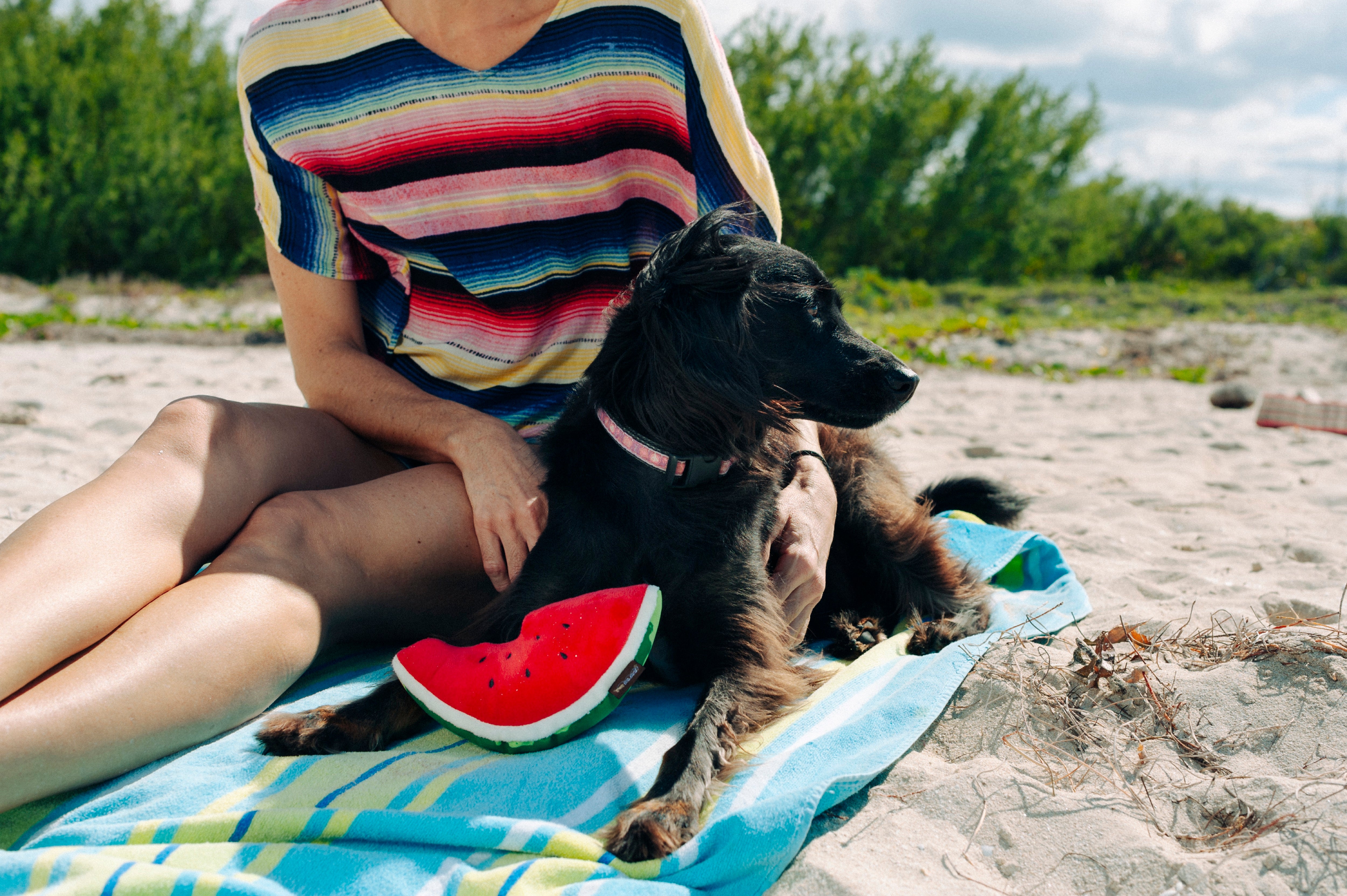 La Sandía - Juguete de Peluche para Perros Tropical Paradise™ | Pet P.L.A.Y.