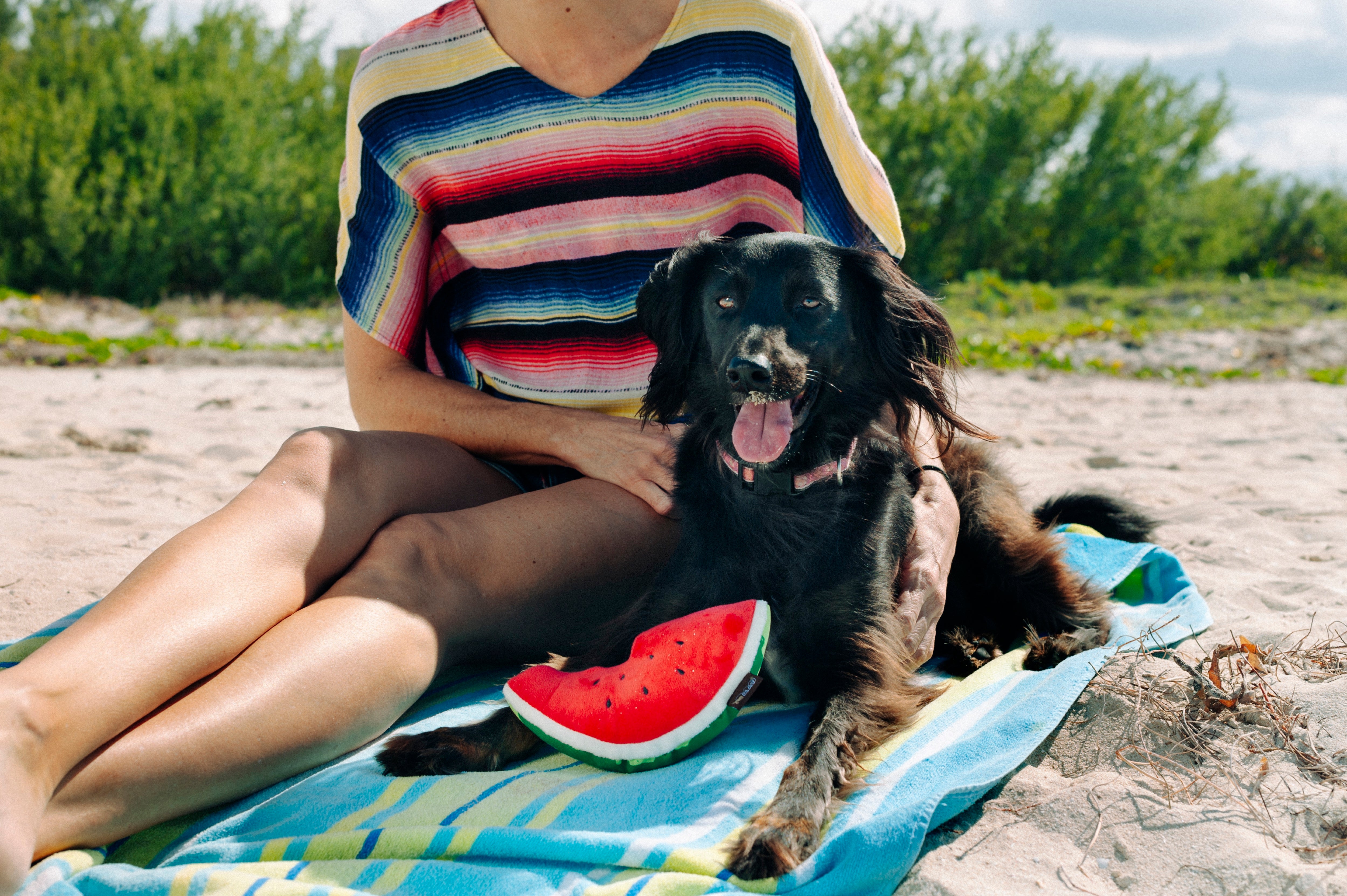 La Sandía - Juguete de Peluche para Perros Tropical Paradise™ | Pet P.L.A.Y.