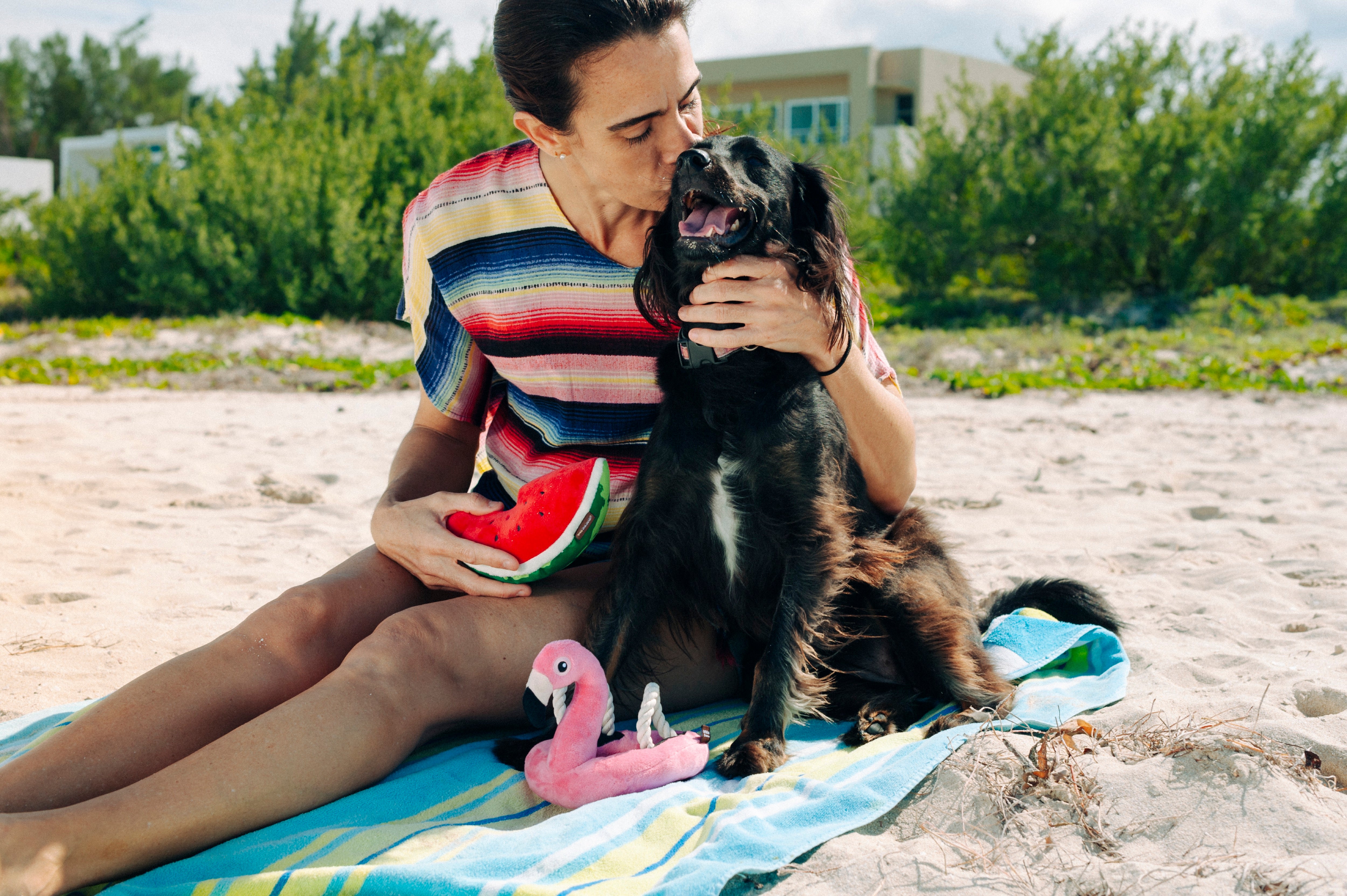 El Flamenco Flotante - Juguete de Peluche para Perros Tropical Paradise™ | Pet P.L.A.Y.