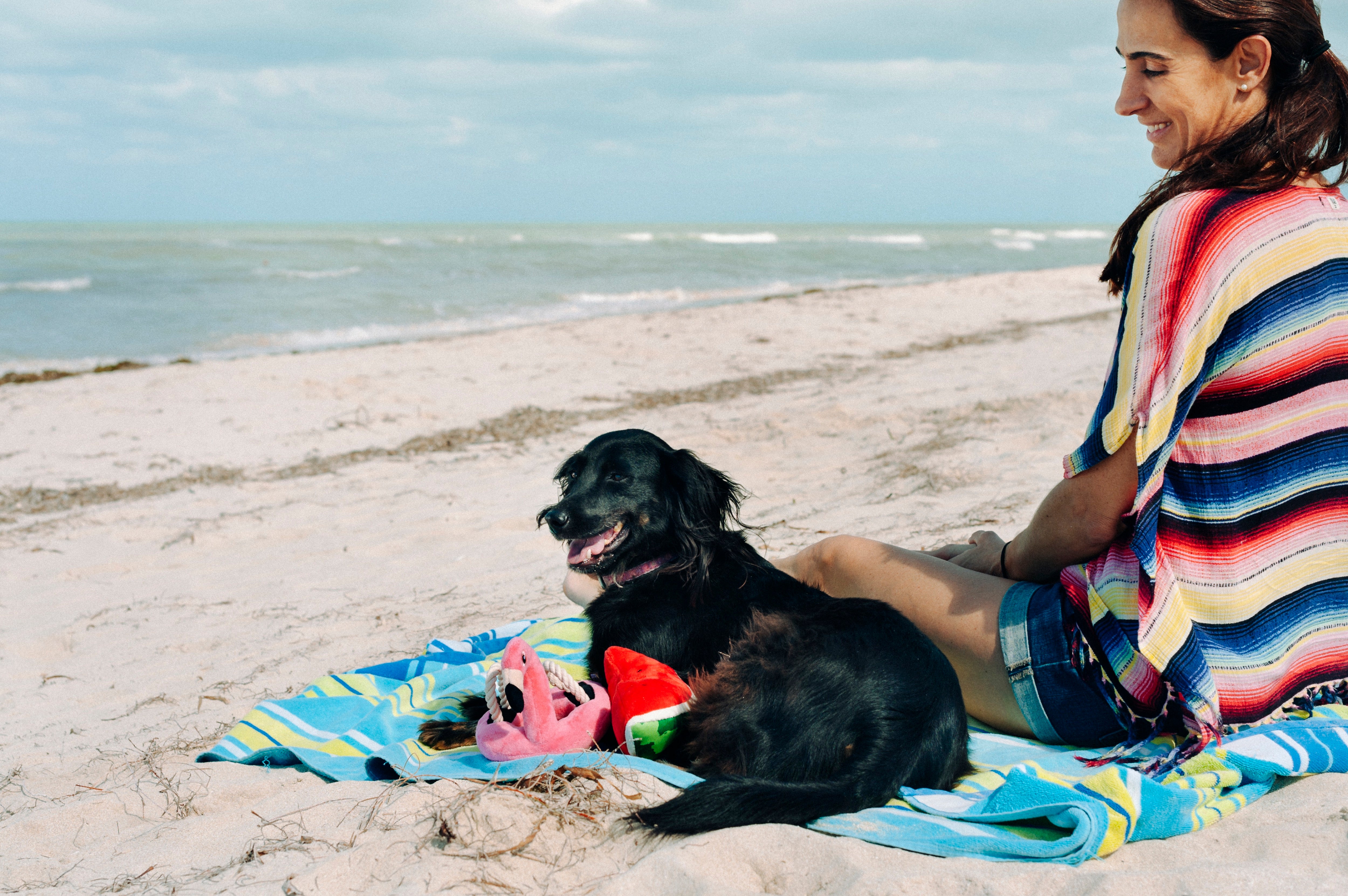 El Flamenco Flotante - Juguete de Peluche para Perros Tropical Paradise™ | Pet P.L.A.Y.