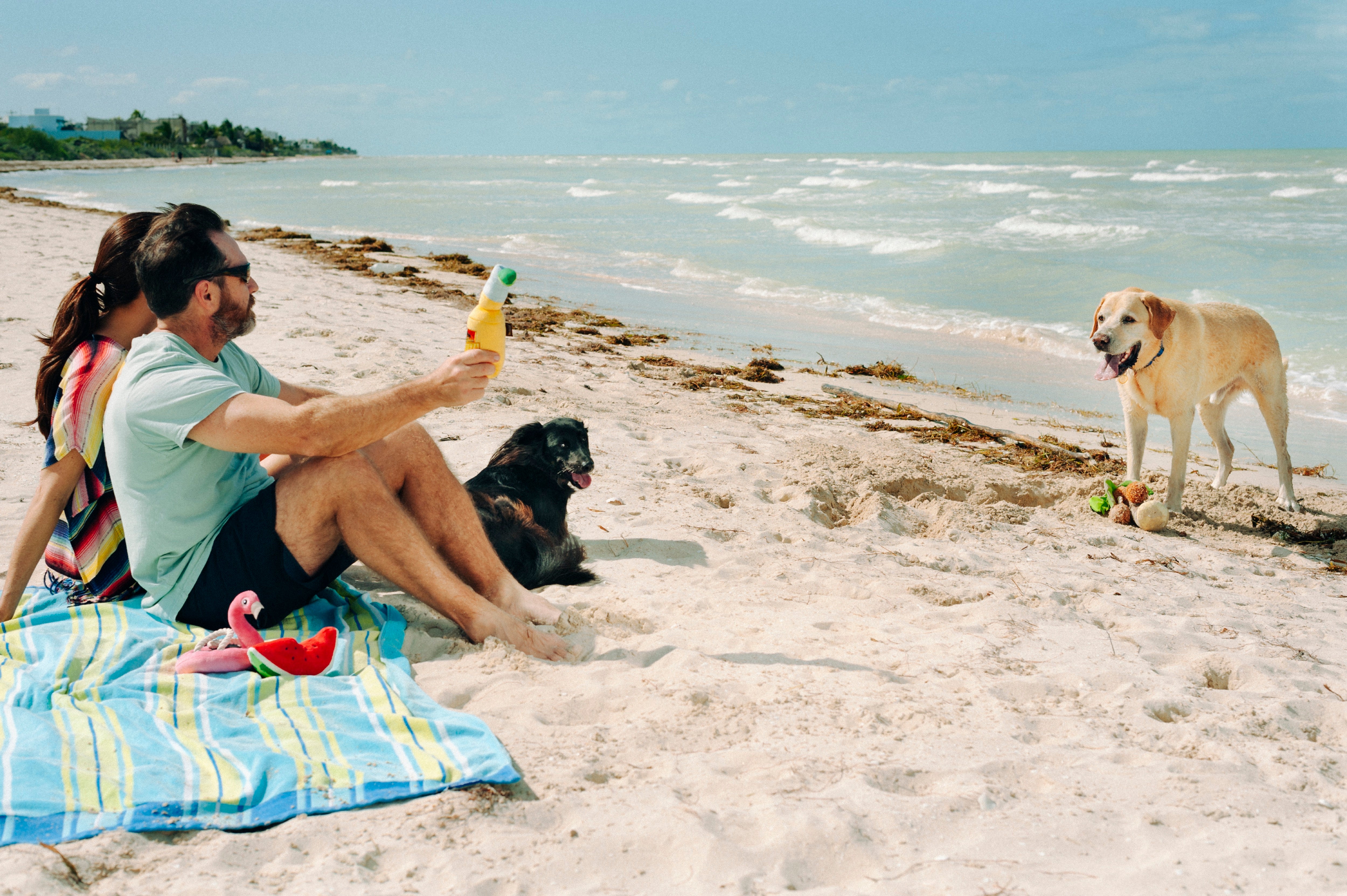 El Flamenco Flotante - Juguete de Peluche para Perros Tropical Paradise™ | Pet P.L.A.Y.