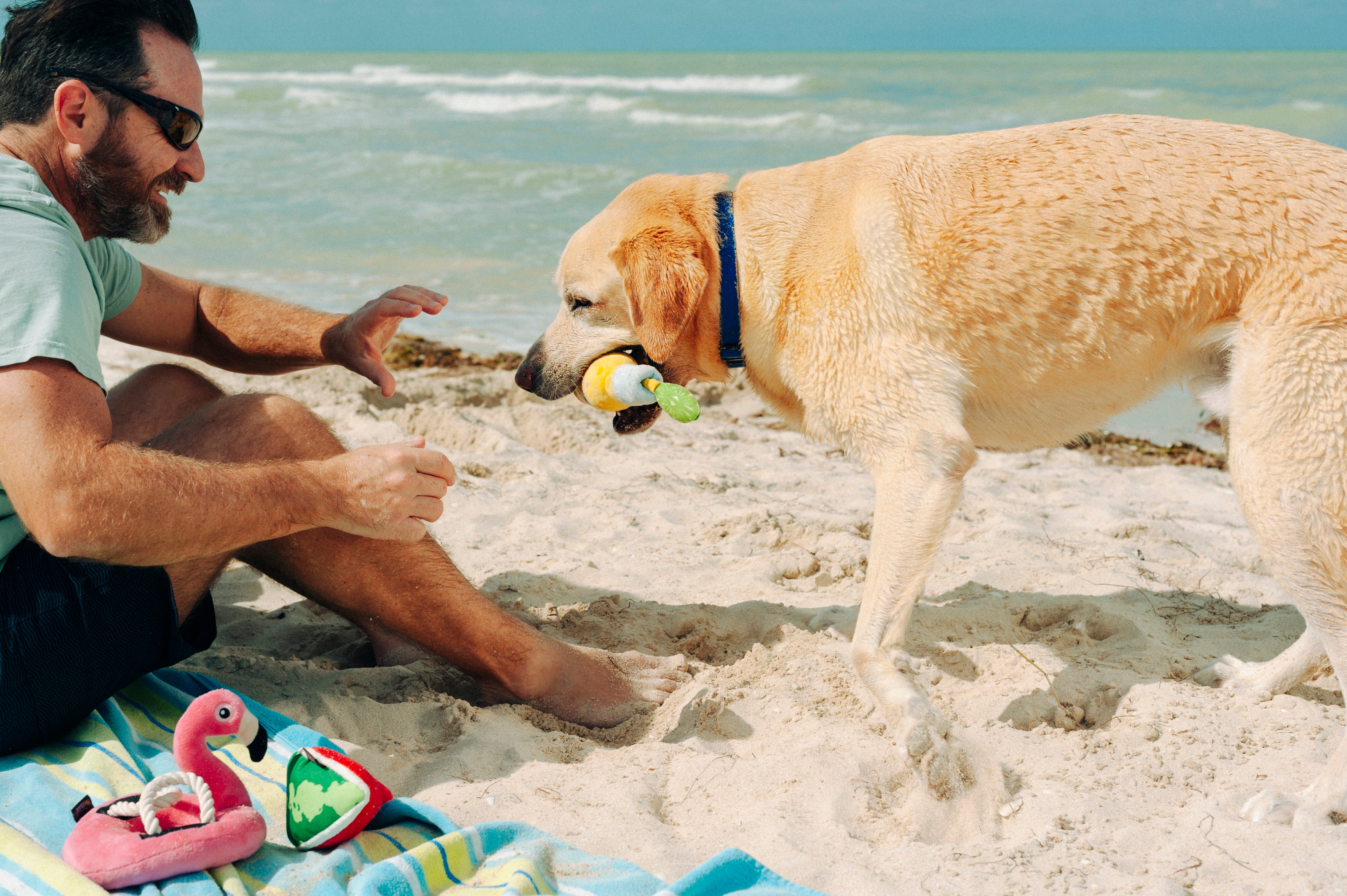 El Flamenco Flotante - Juguete de Peluche para Perros Tropical Paradise™ | Pet P.L.A.Y.