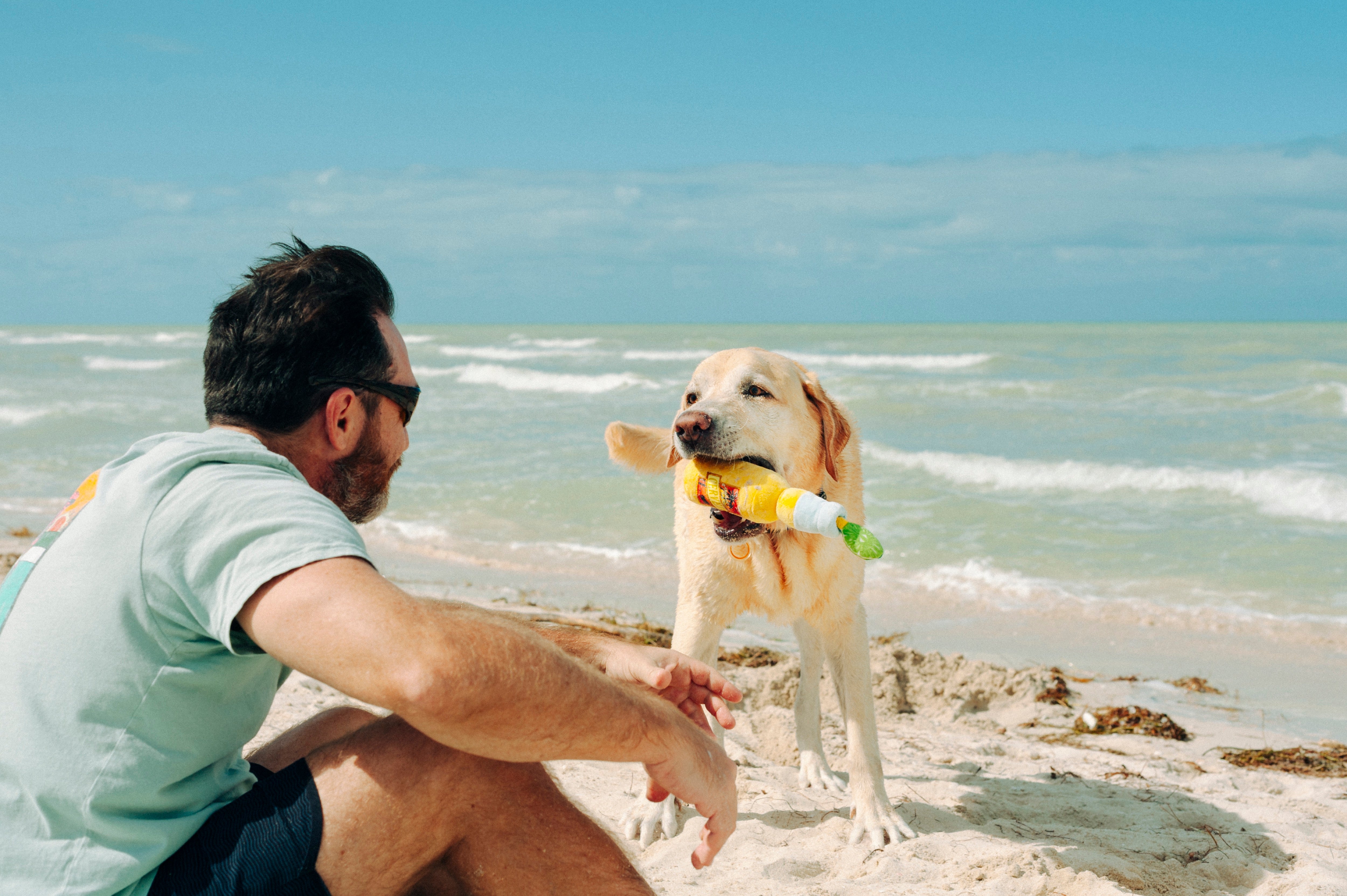 La Cerveza Tropical - Juguete de Peluche para Perros Tropical Paradise™ | Pet P.L.A.Y.